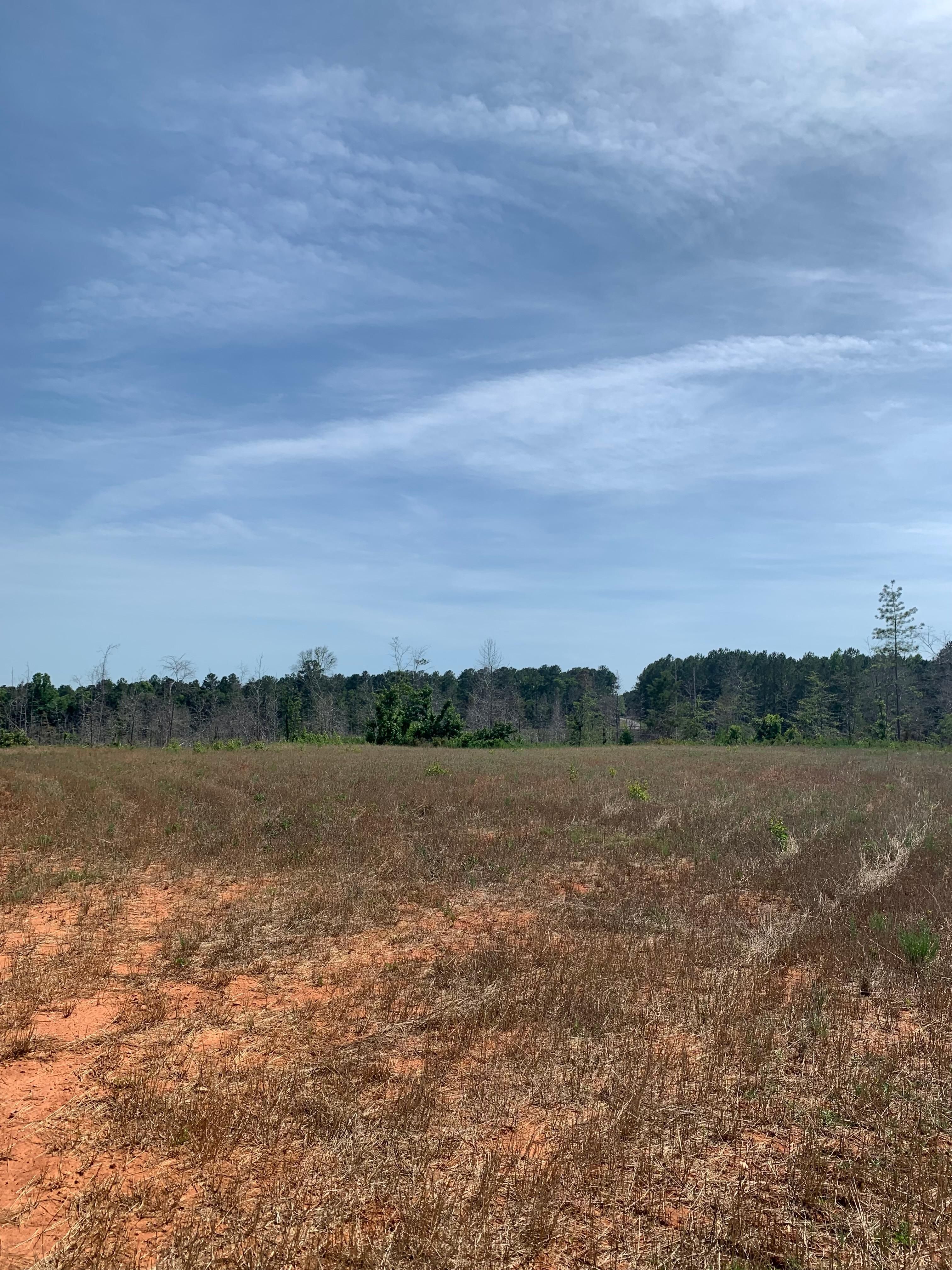 55 acres in Oglethorpe County,