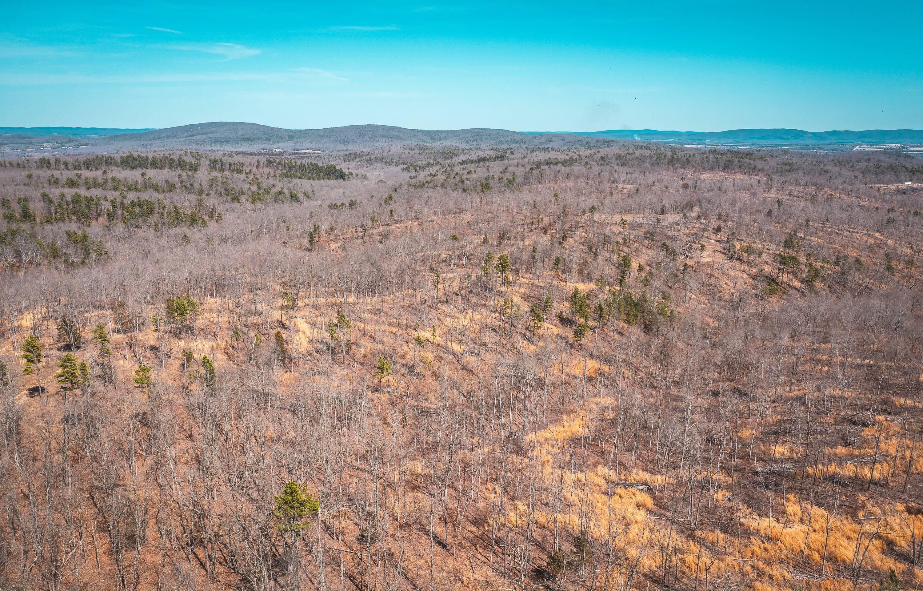 35 acres in Iron County, Missouri