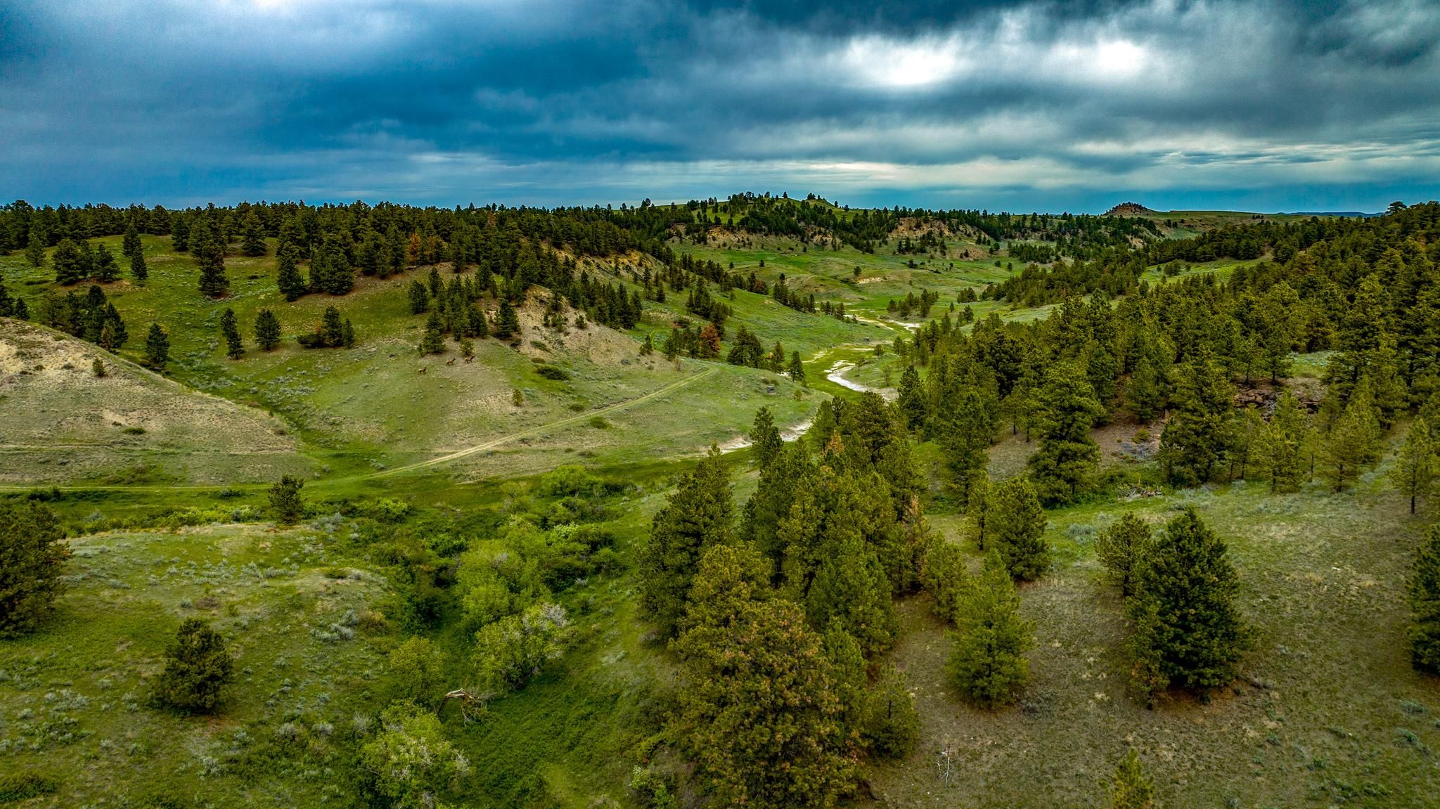 12,000 acres in Phillips County, Montana