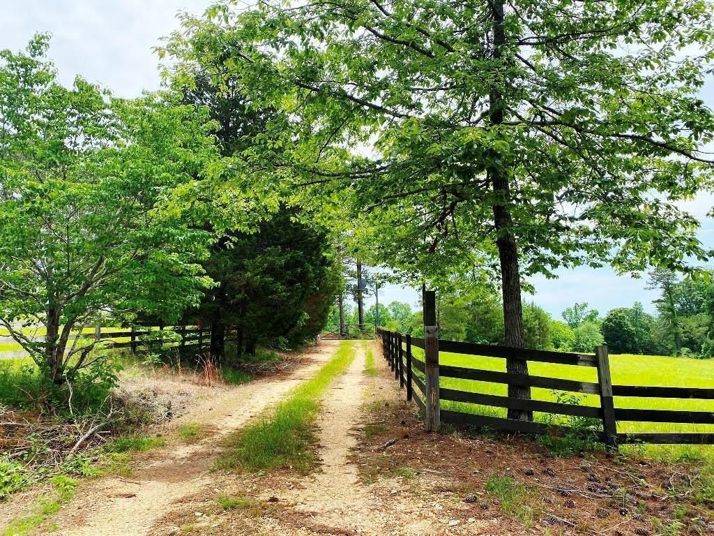 160 acres in Marion County, Alabama