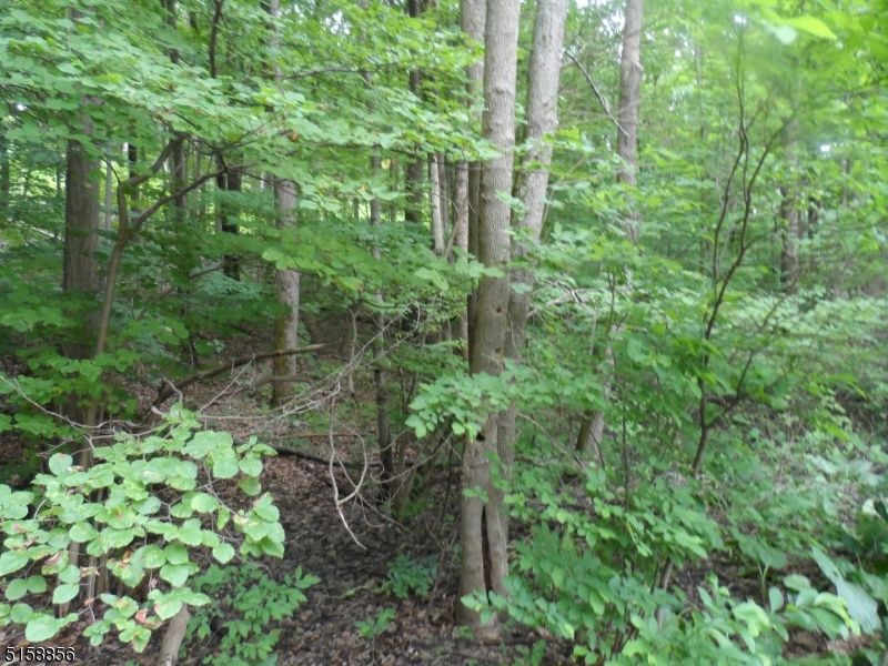 9.1 acres in Morris County, New Jersey