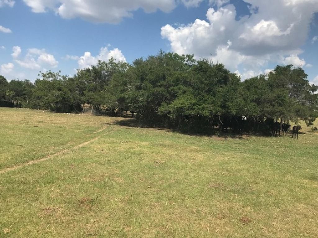 36.89 acres in Austin County, Texas