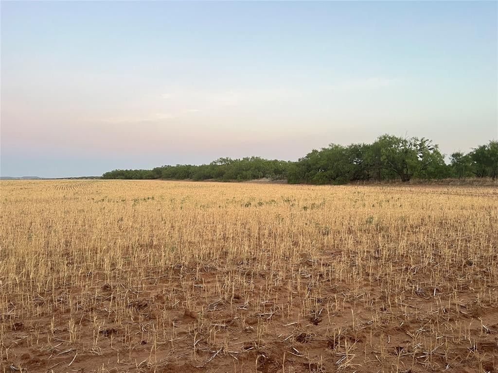 20 acres in Taylor County, Texas