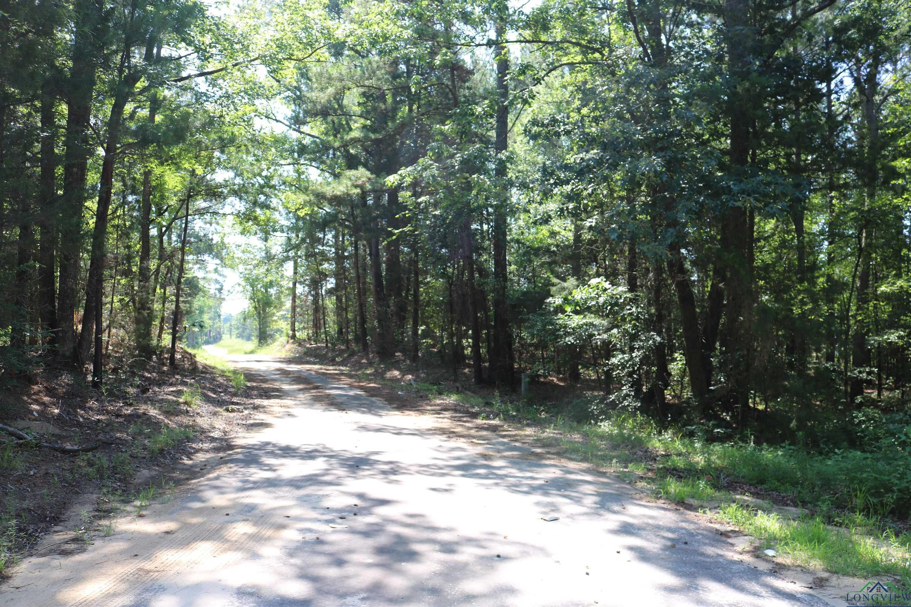 81 acres in Cass County, Texas