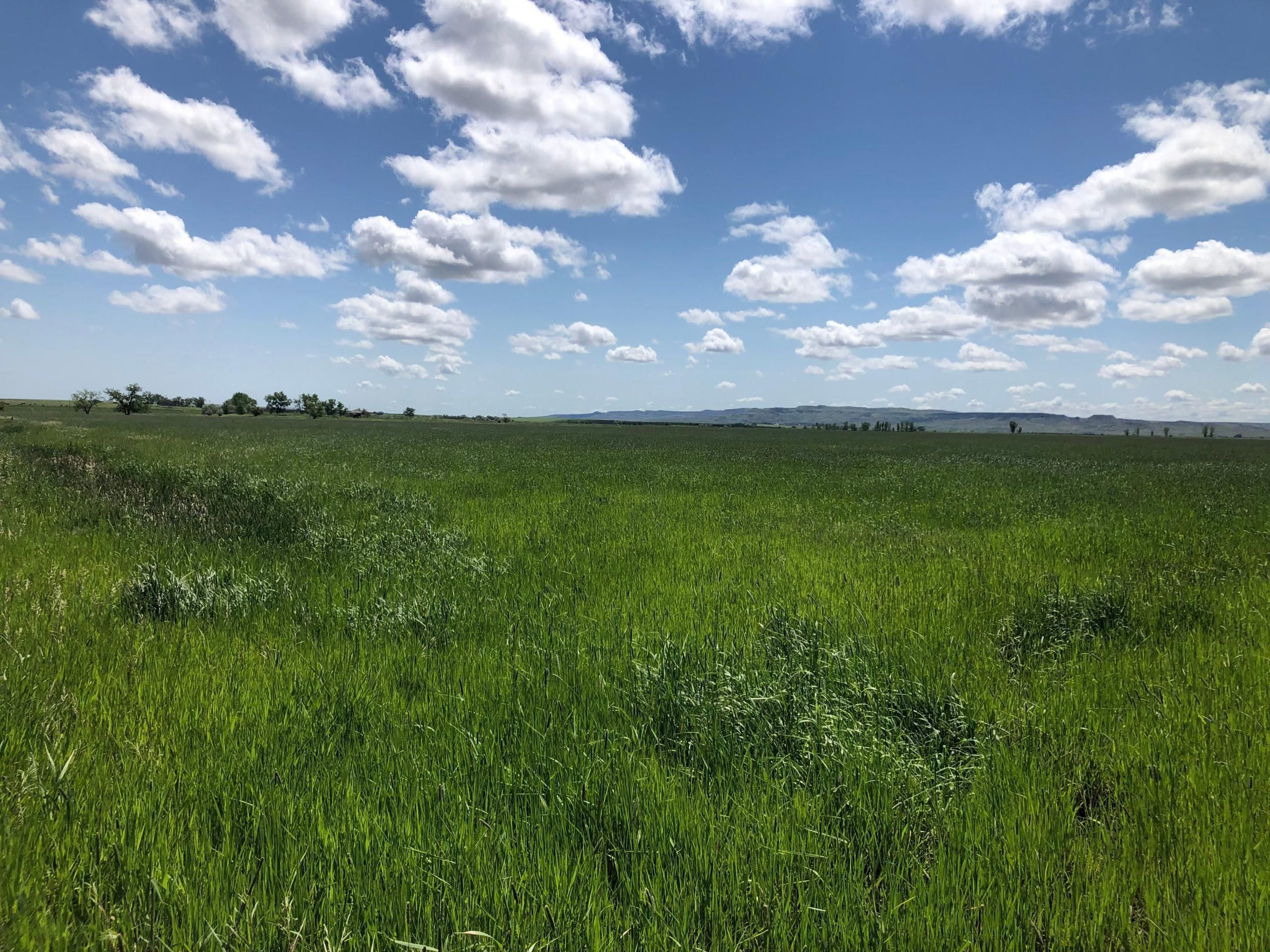 480 acres in Valley County, Montana