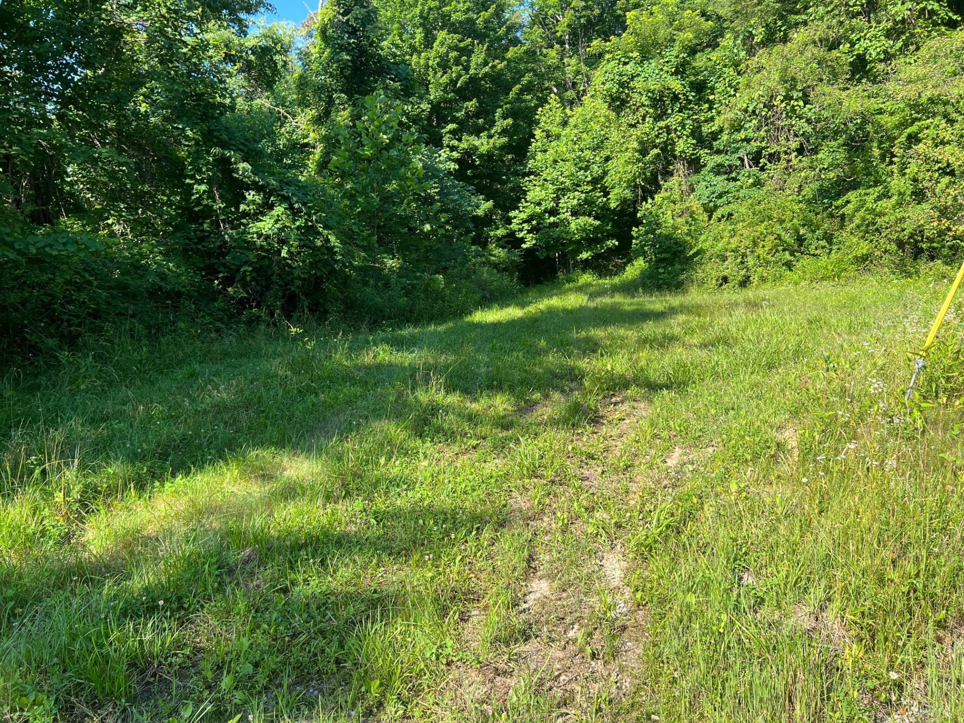 7.89 acres in Braxton County, West Virginia