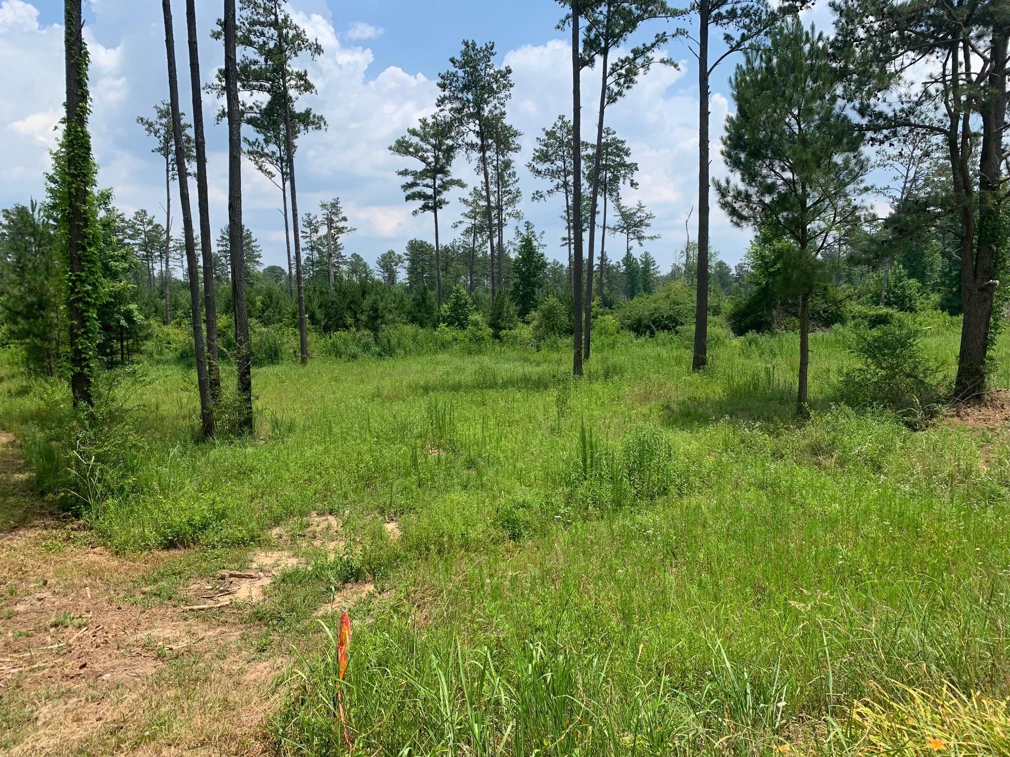 21.42 acres in Floyd County,