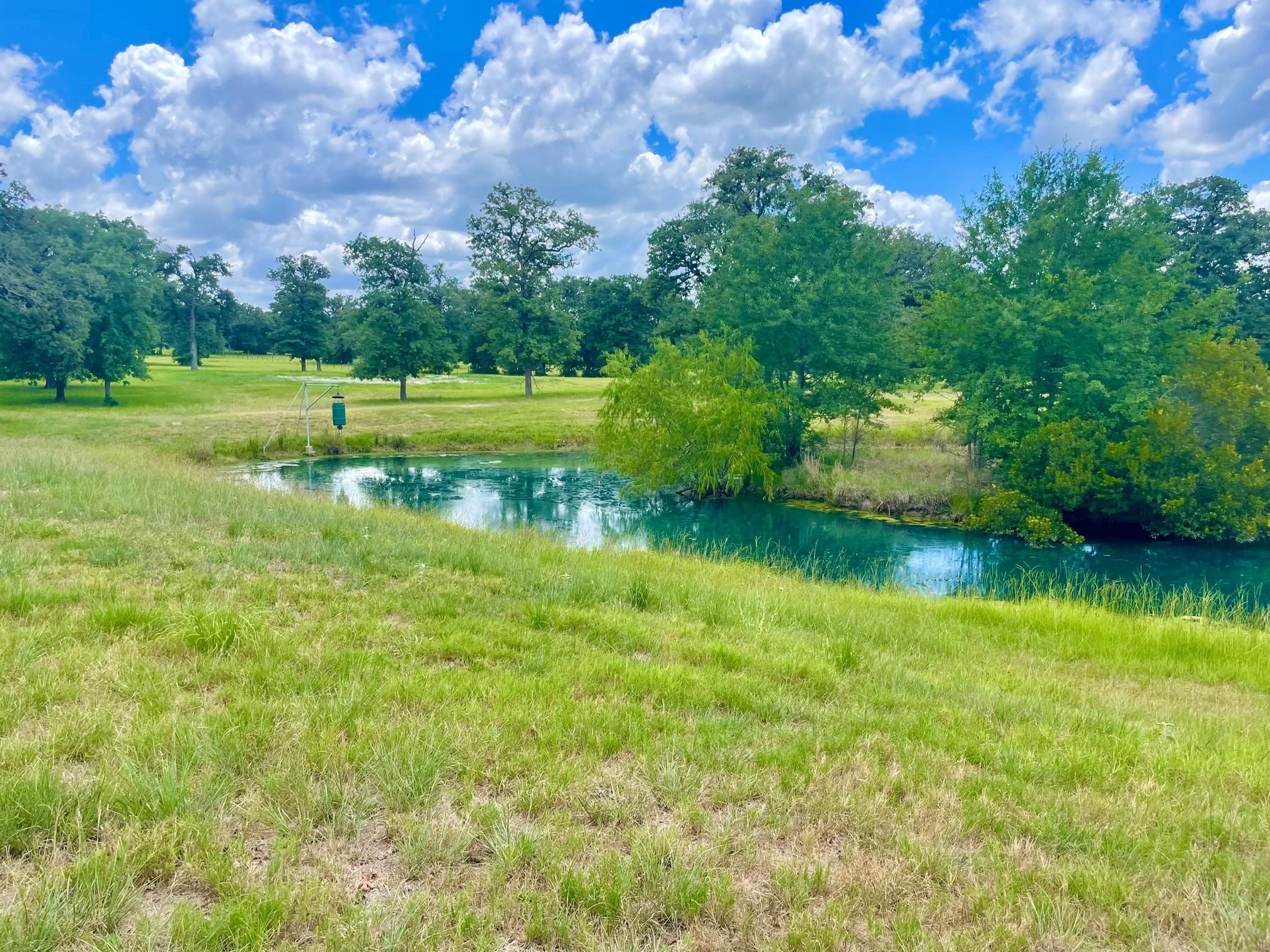 10.45 acres in Burleson County, Texas