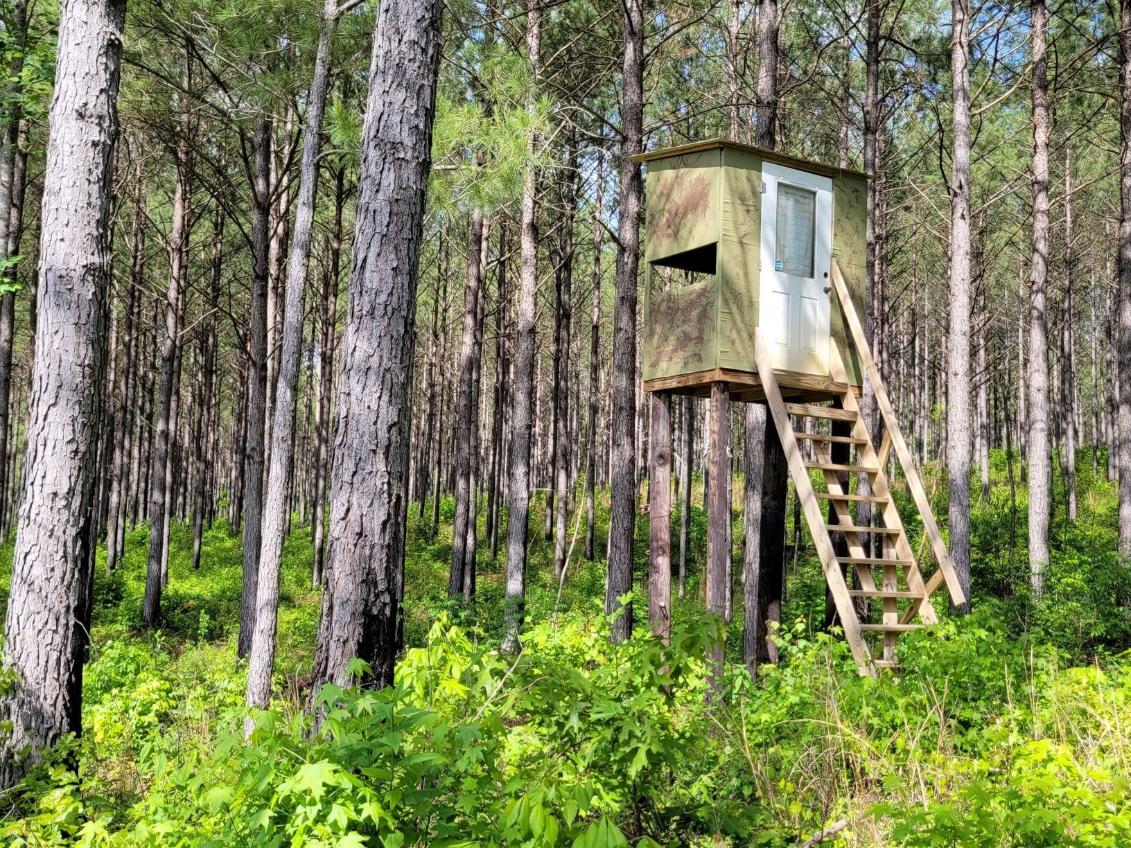 912 acres in Wadley, AL, 36276