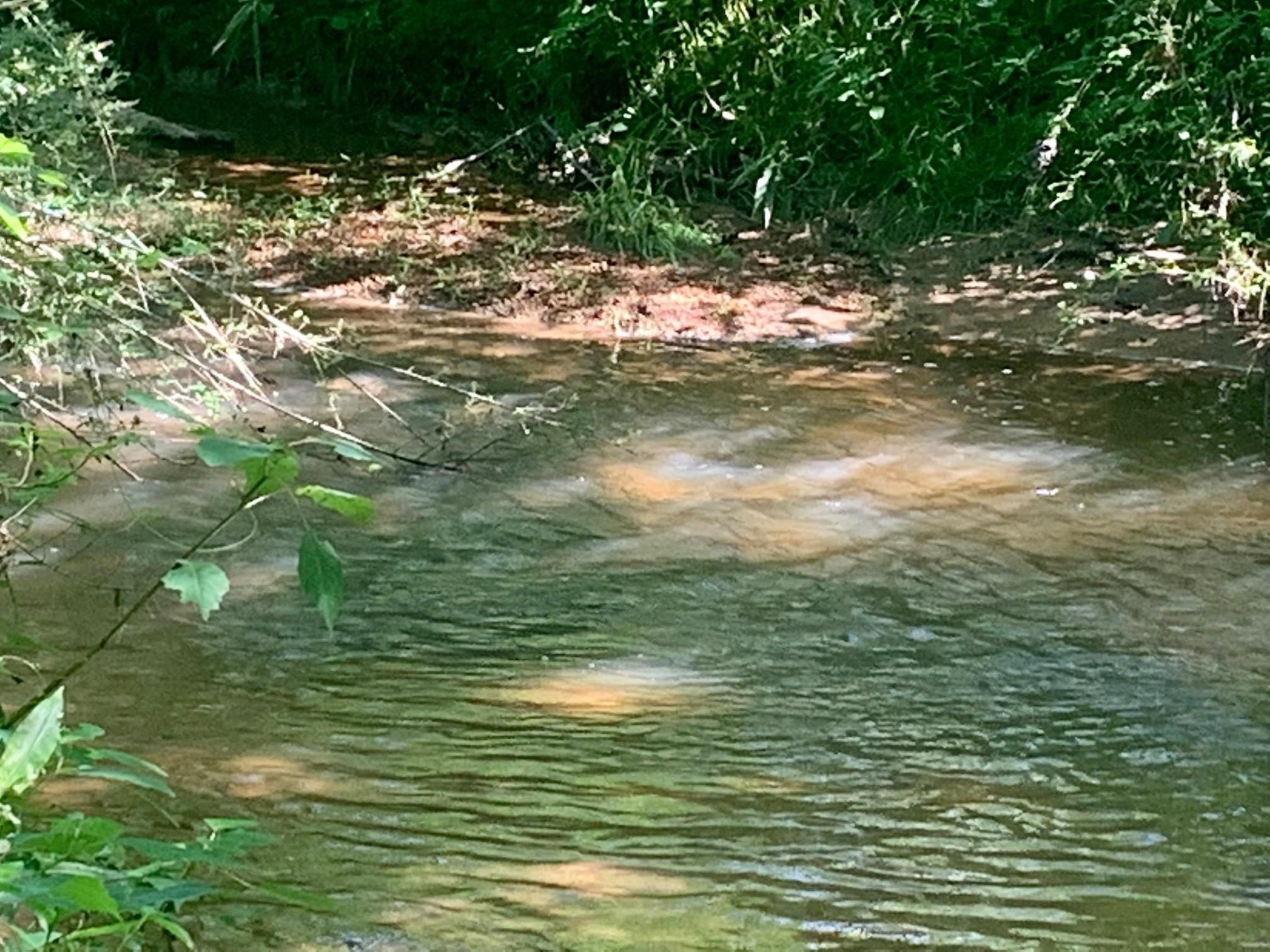 20 acres in Carroll County,