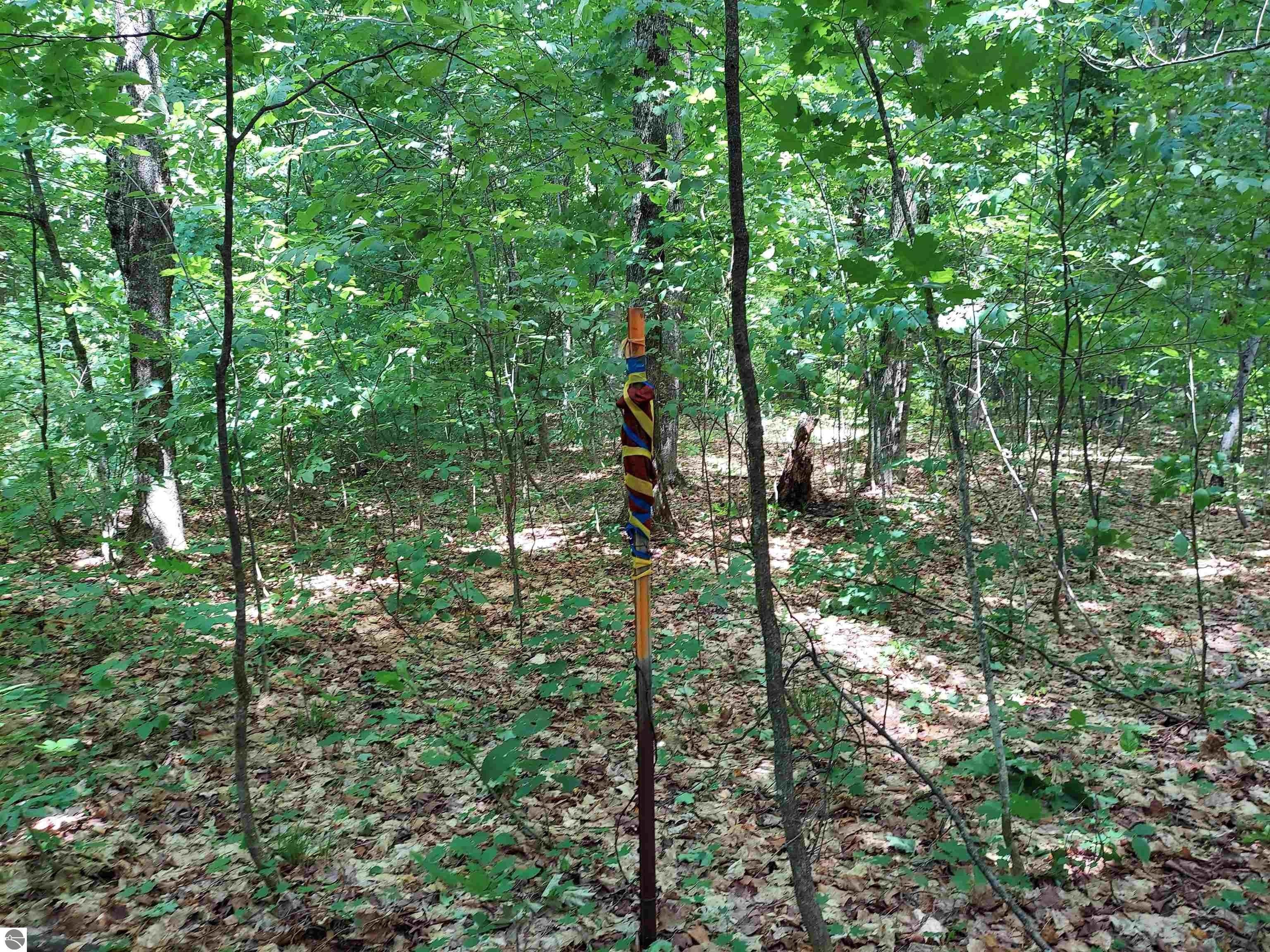 10 acres in Antrim County, Michigan