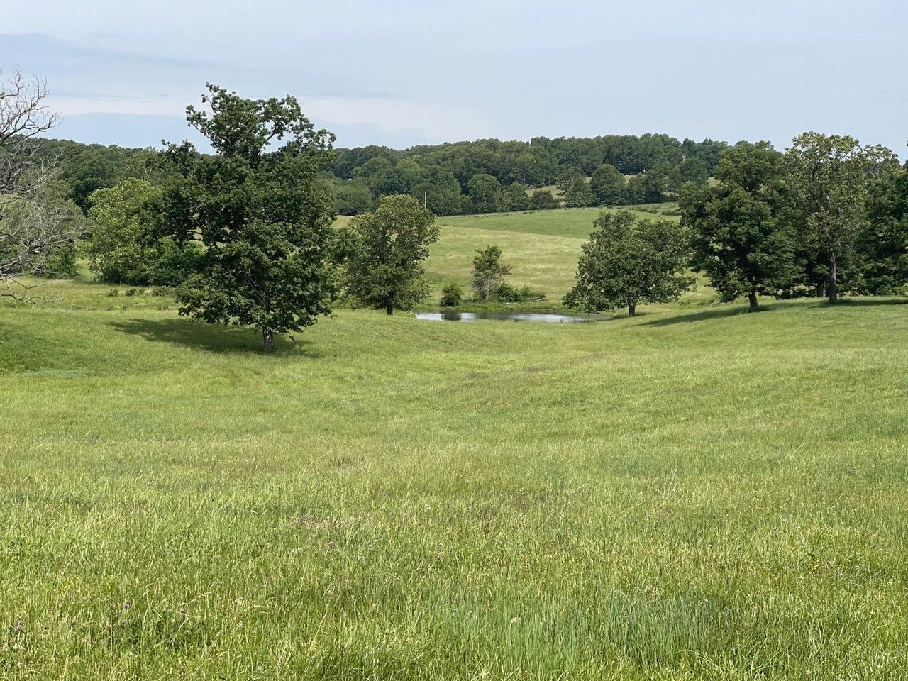 15 acres in Laclede County, Missouri