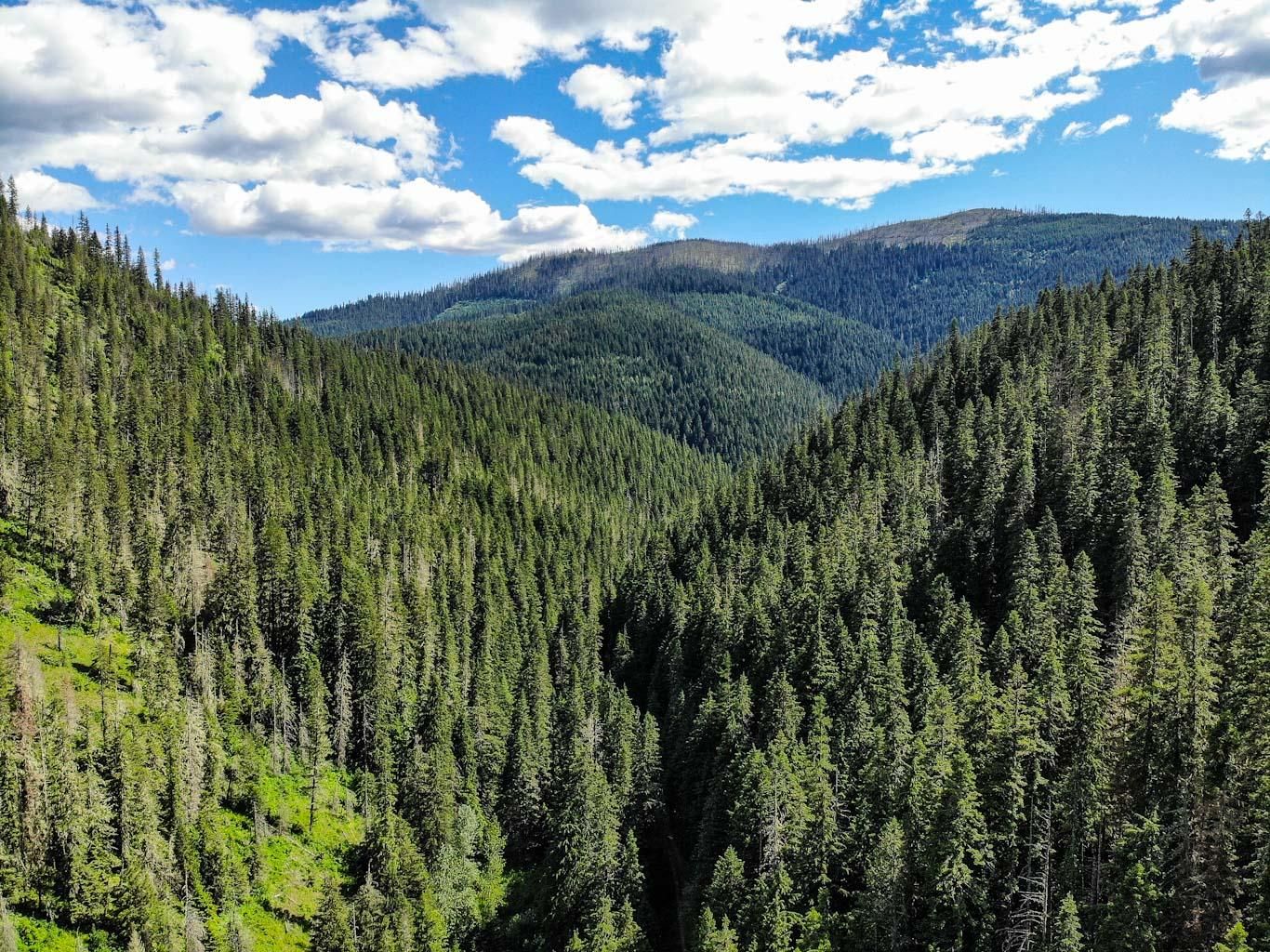 61 acres in Kootenai County, Idaho