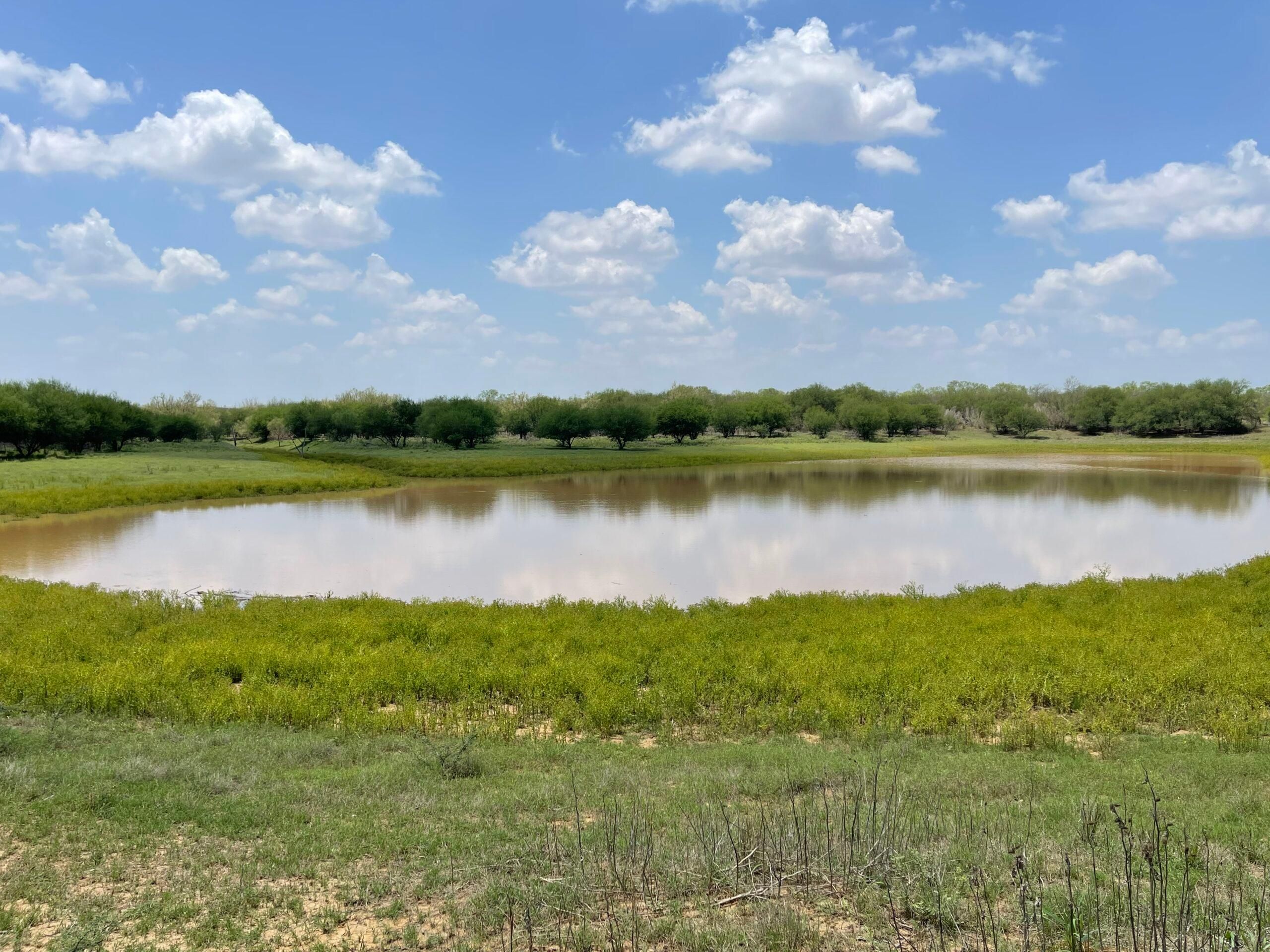 386 acres in La Salle County, Texas