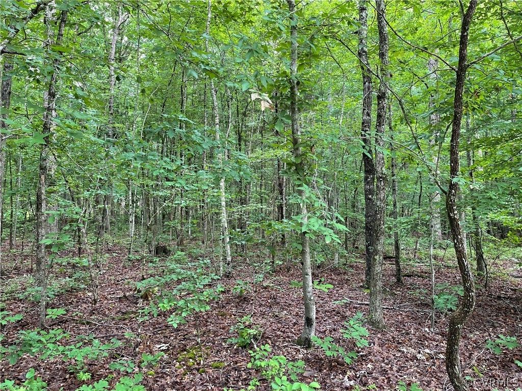 2 acres in Powhatan County, Virginia