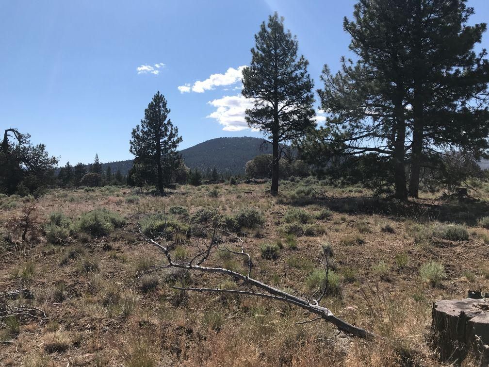 10 acres in Siskiyou County, California