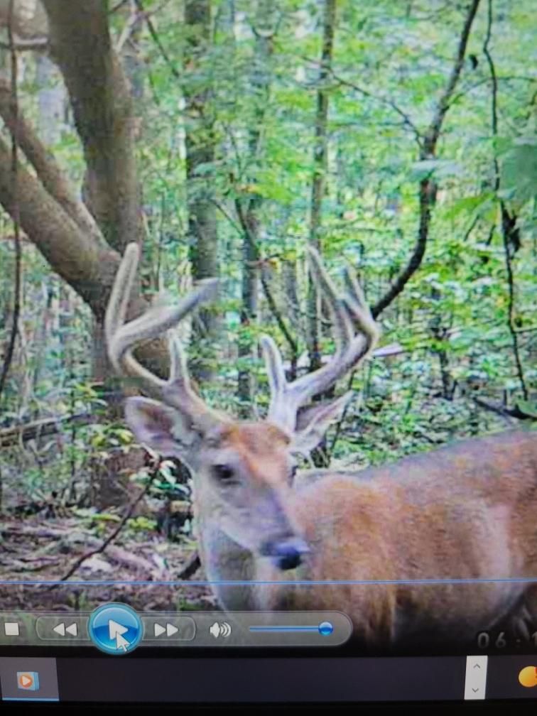 120 acres in Calhoun County, Alabama