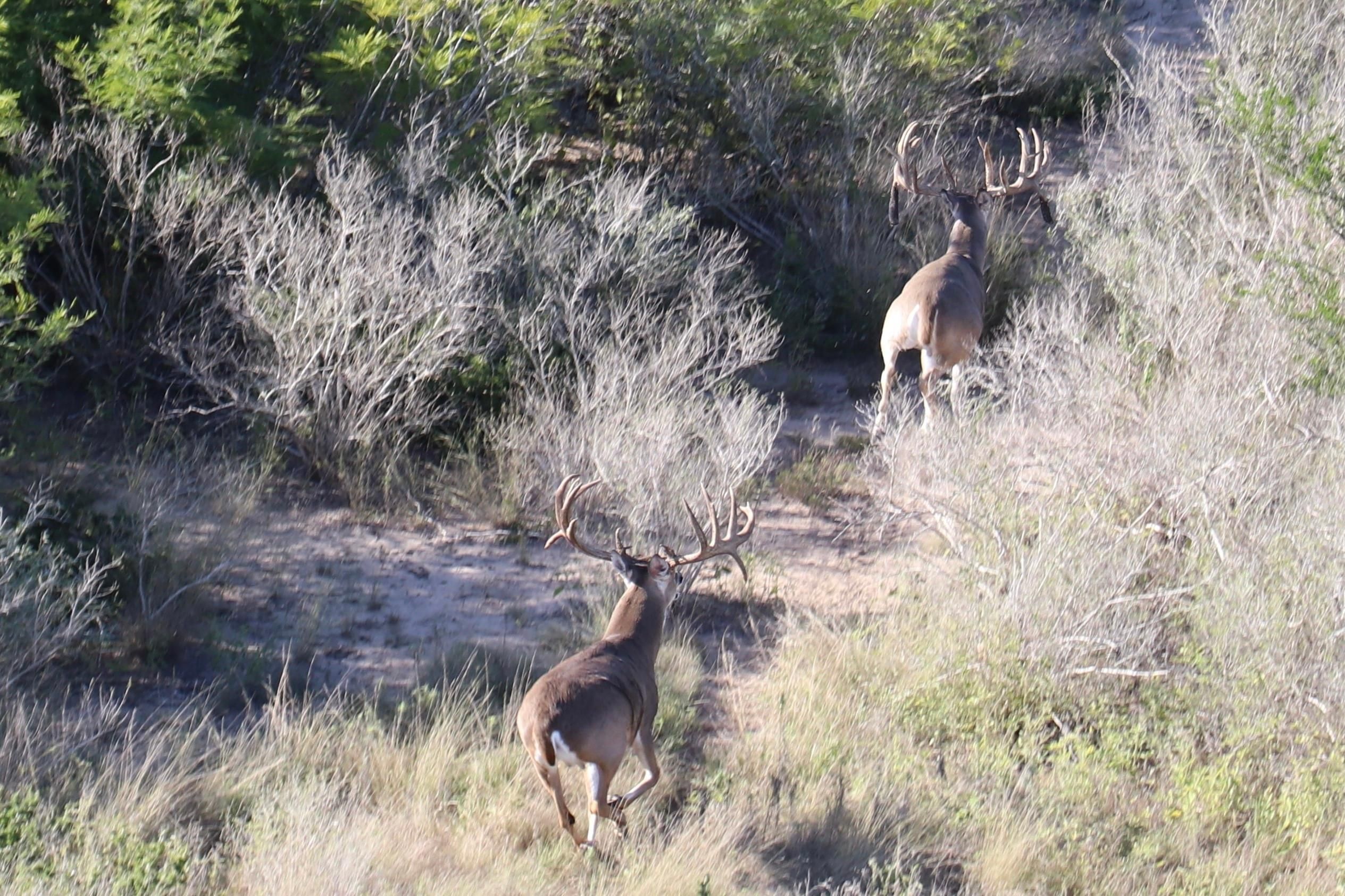 3,467 acres in McMullen County, Texas