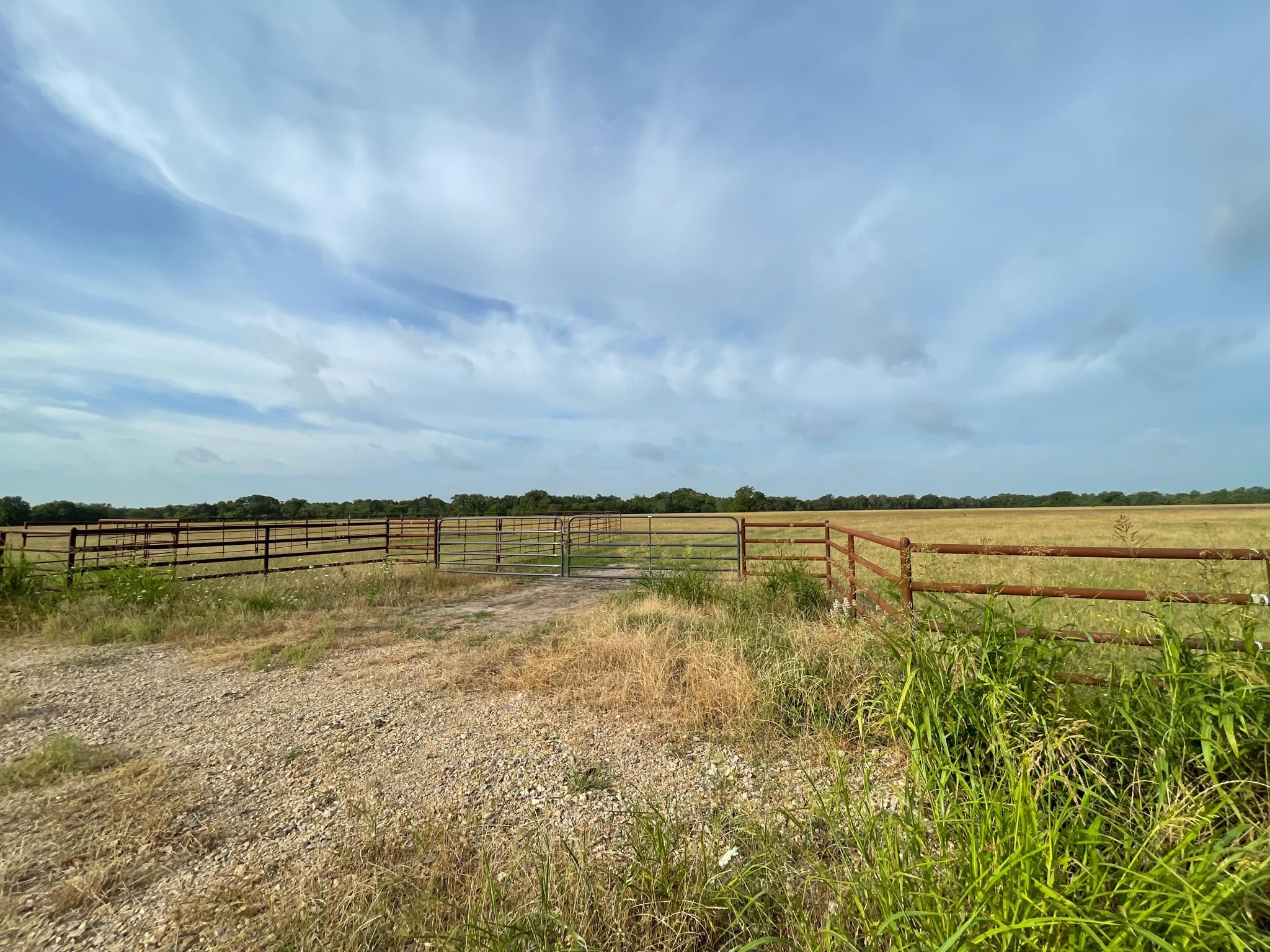 109 acres in Fannin County, Texas