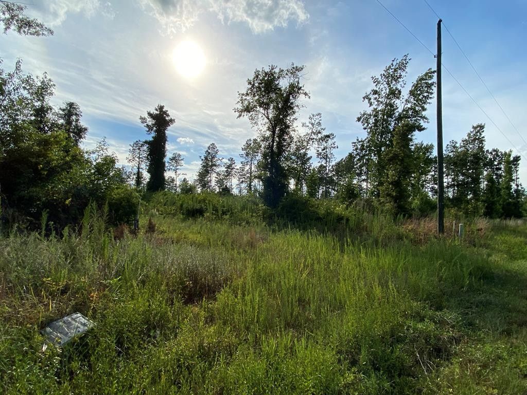 3 acres in Halifax County, North Carolina