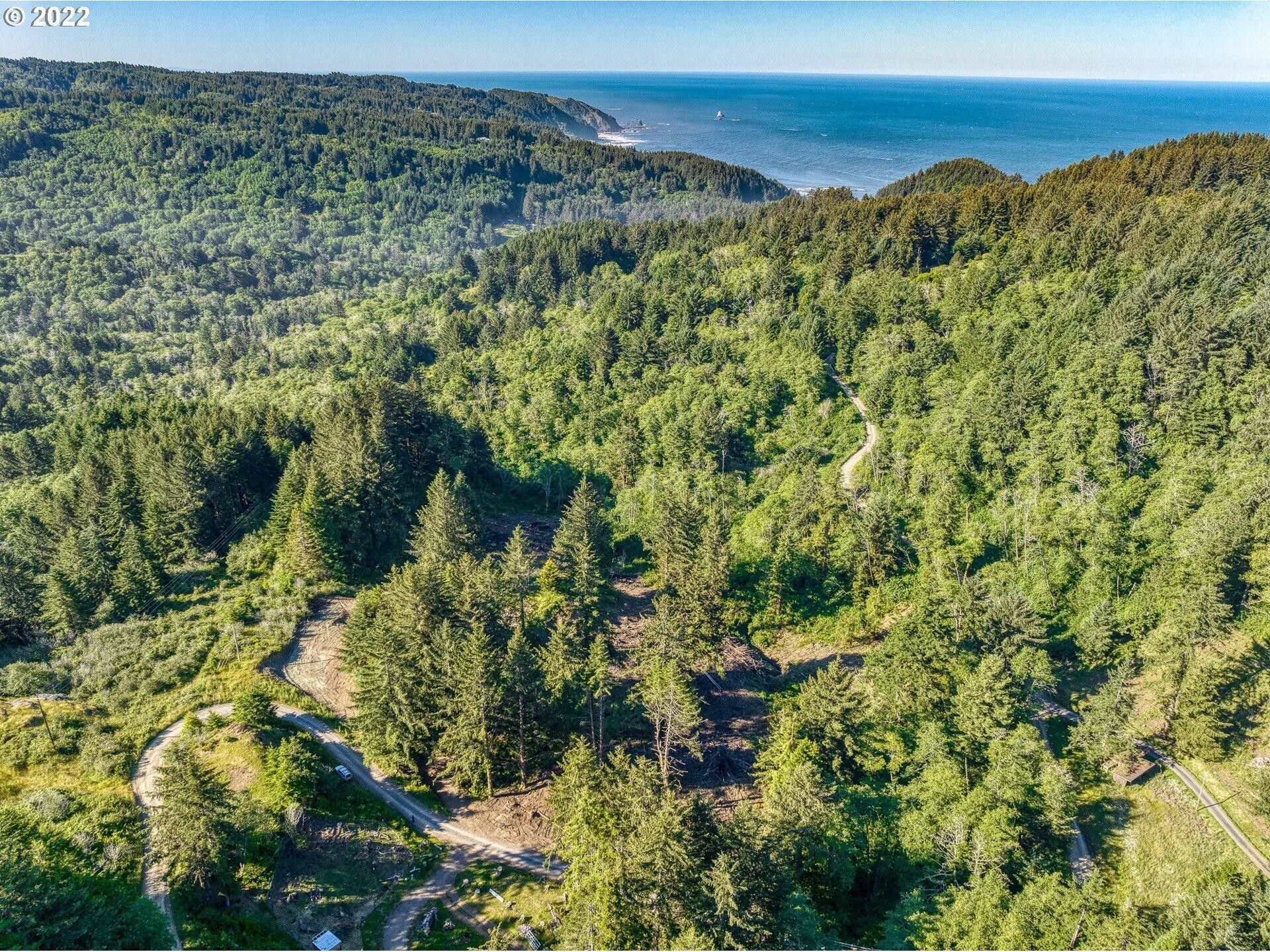 10.89 acres in Curry County, Oregon