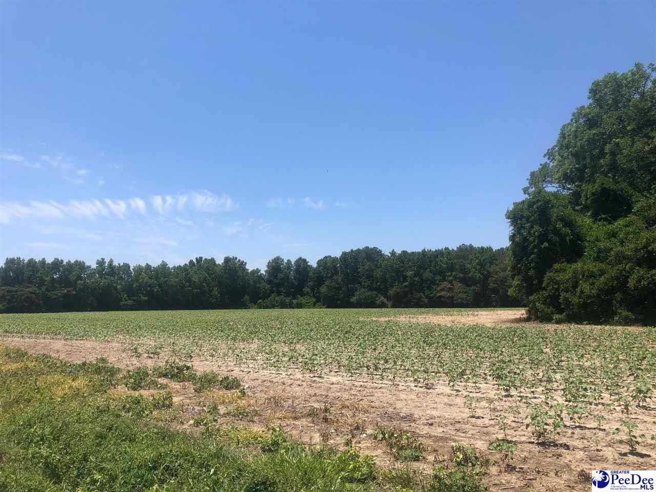 47 acres in Florence County, South Carolina