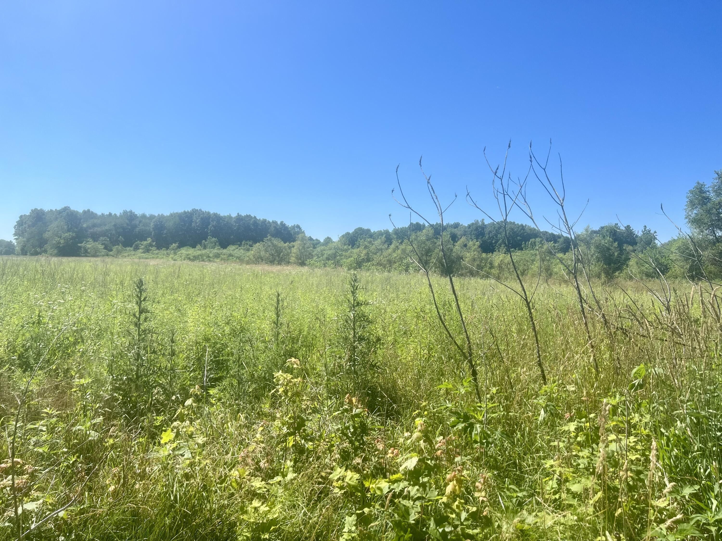 12 acres in Berrien County, Michigan