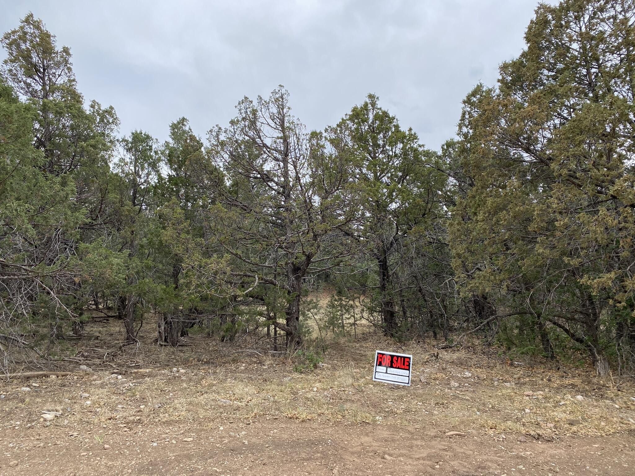 20 acres in Bernalillo County, New Mexico