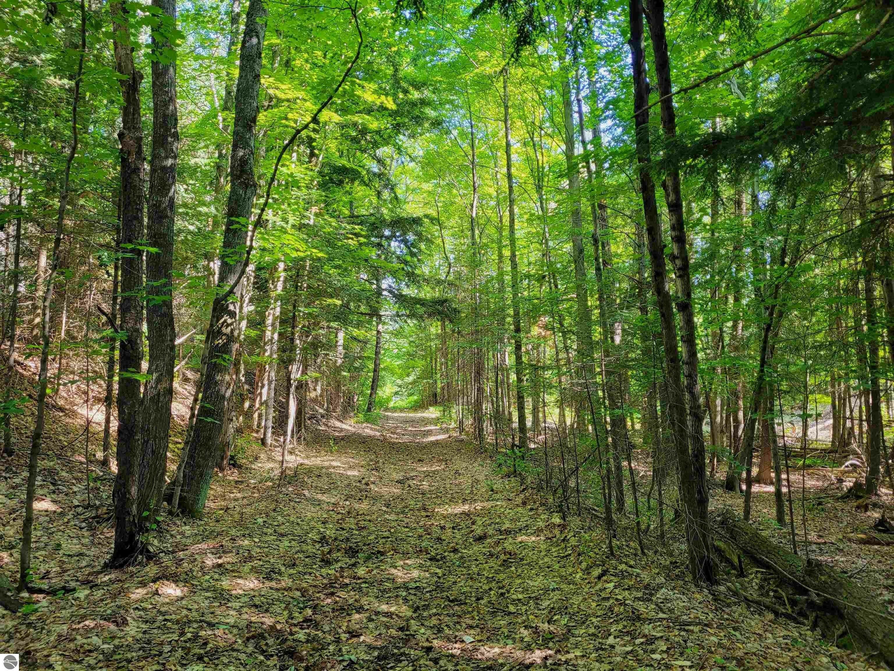 40 acres in Kalkaska County, Michigan