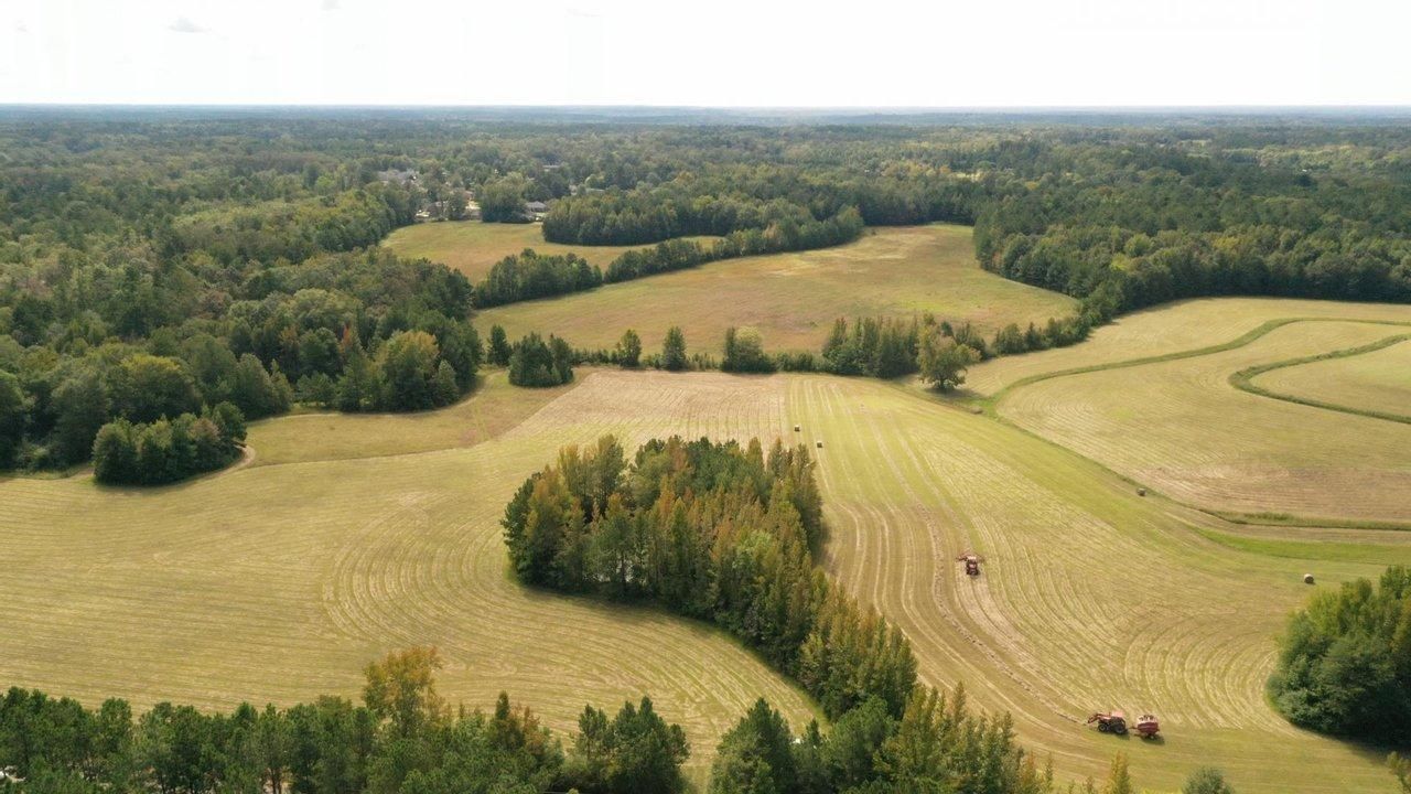 100 acres in Lowndes County, Mississippi