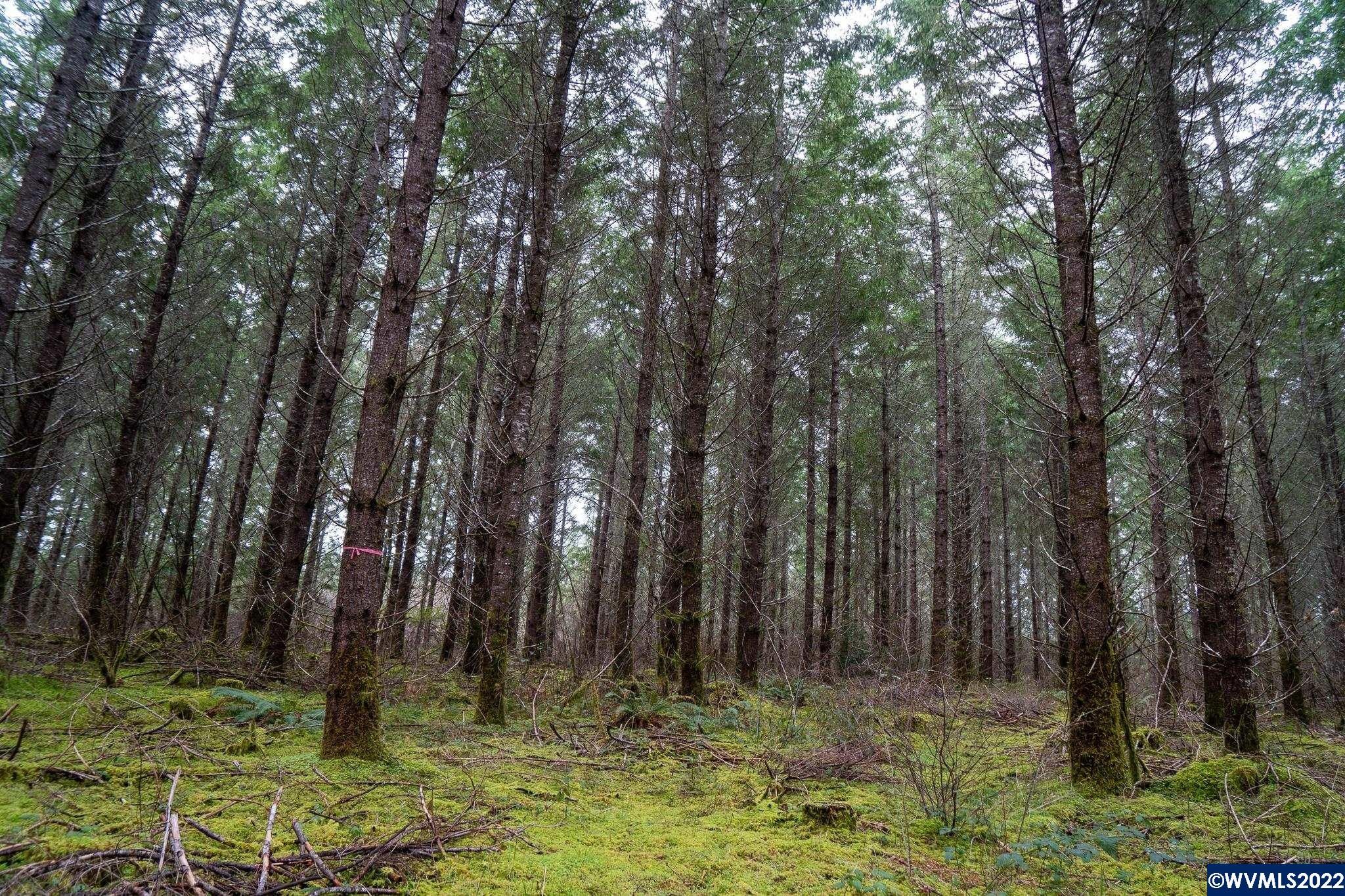 34 acres in Benton County, Oregon