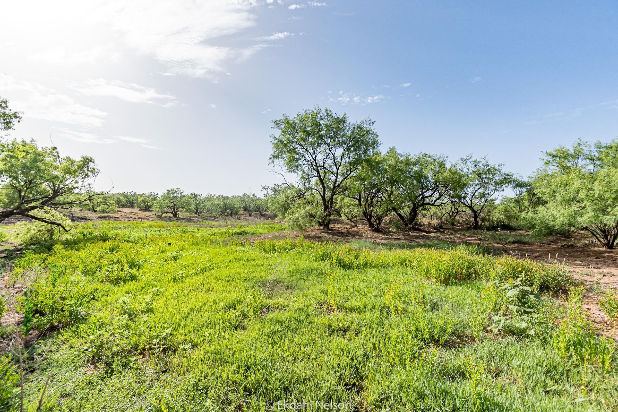 200 acres in Taylor County, Texas