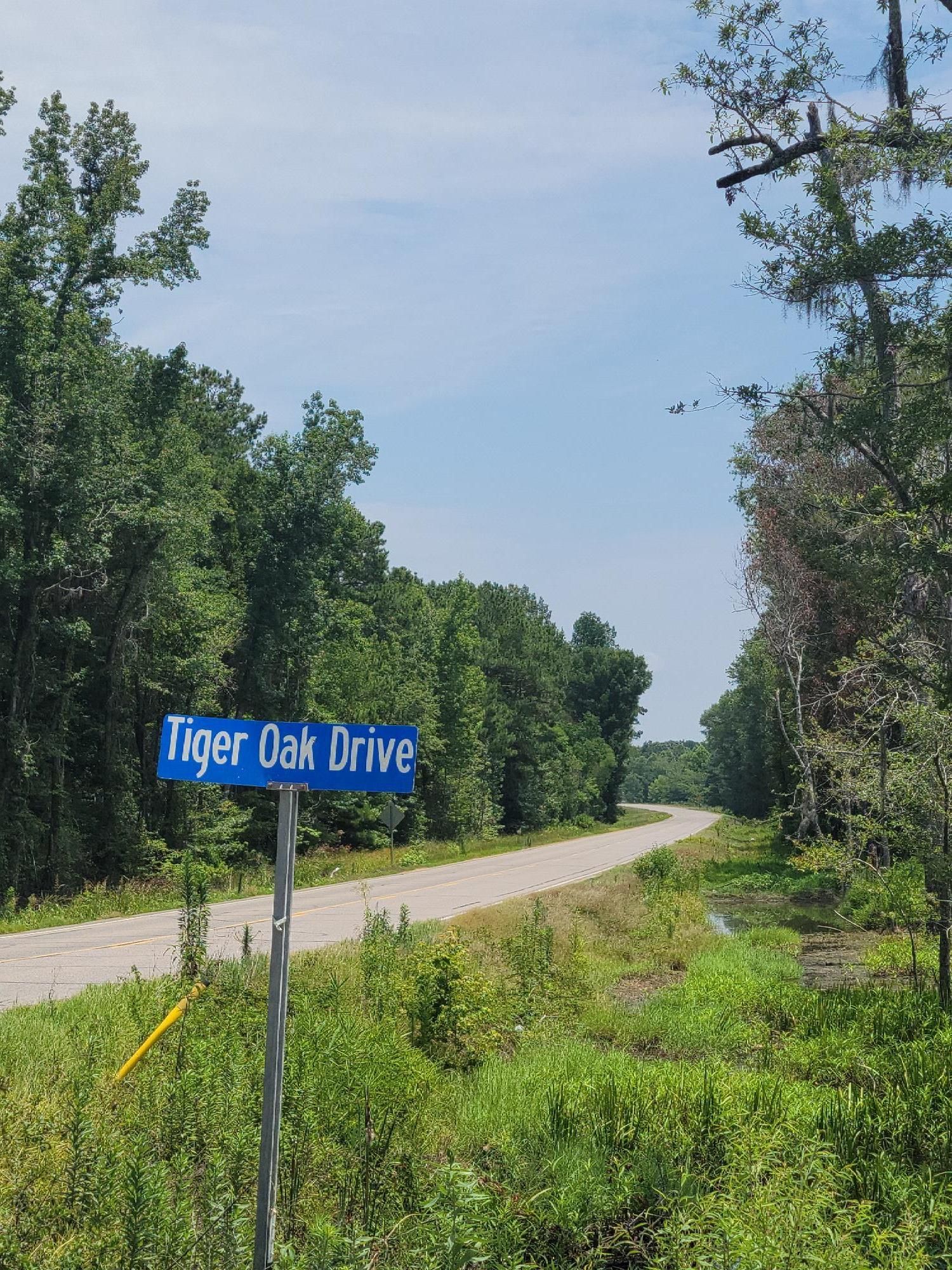 312.28 acres in Montgomery County, Alabama