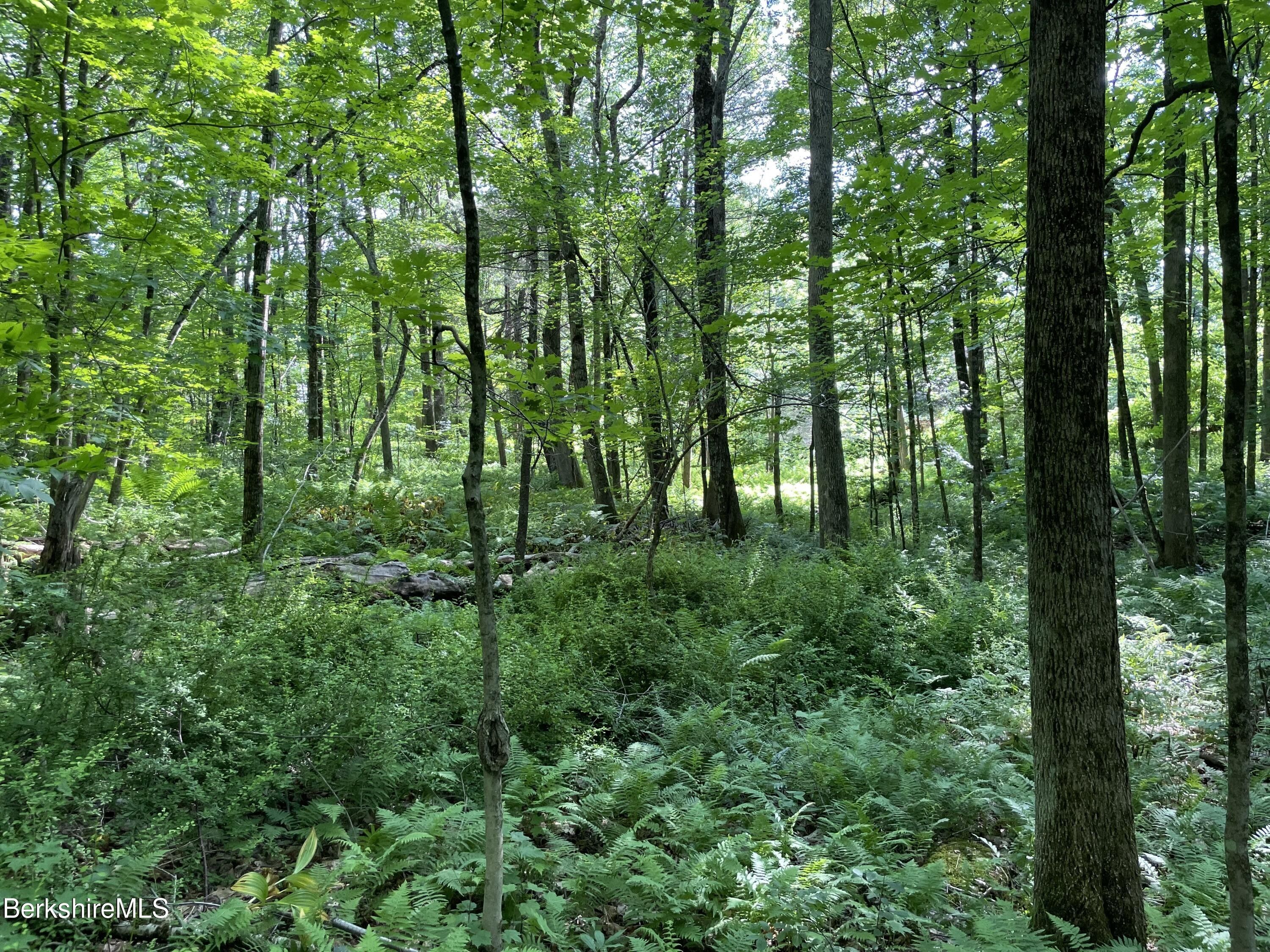 2.91 acres in Berkshire County, Massachusetts