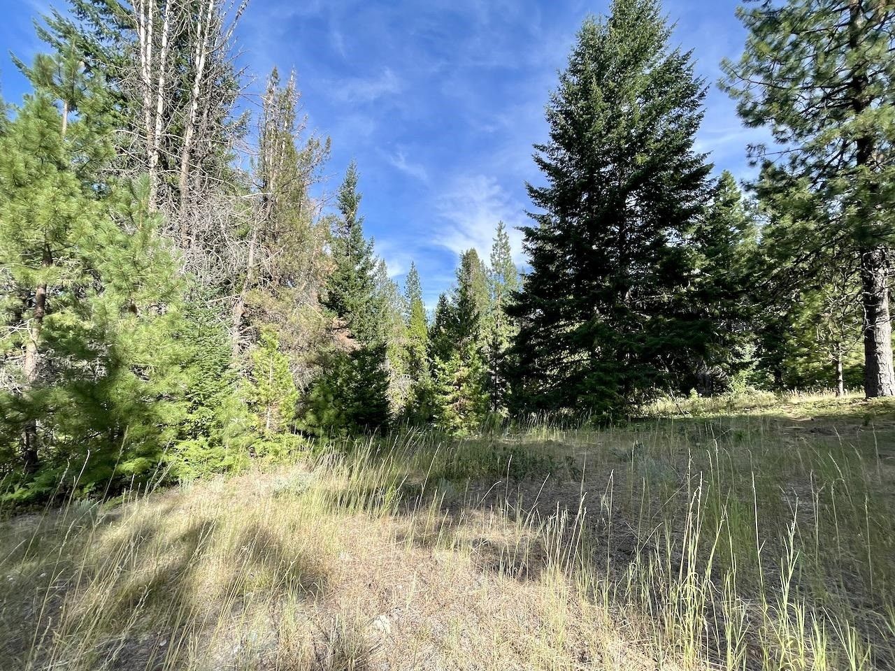 5 acres in Siskiyou County, California