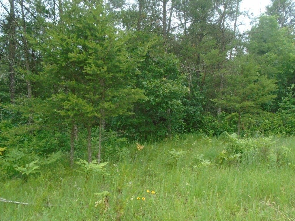 5 acres in Juneau County, Wisconsin