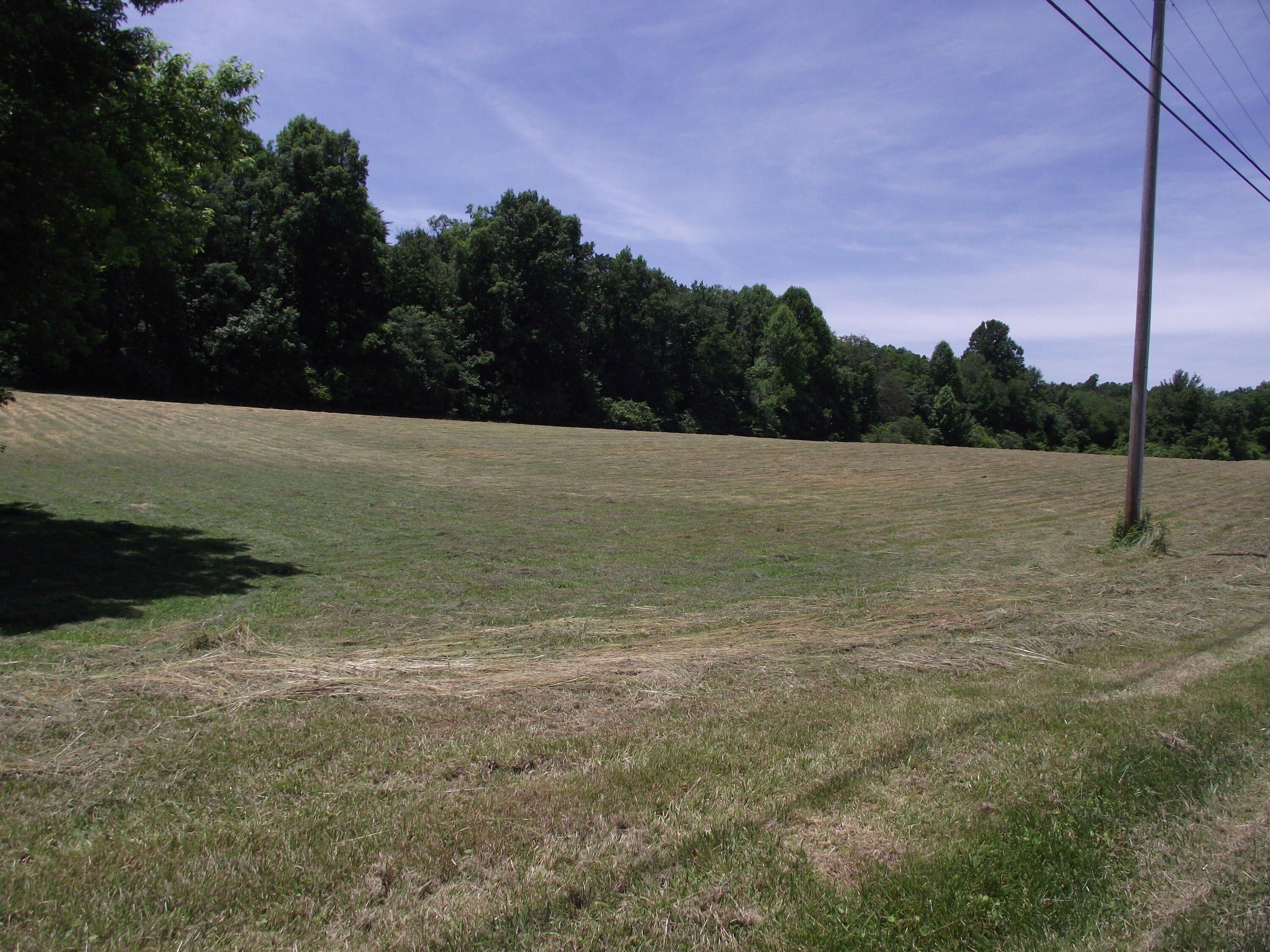 56 acres in Marion County, Tennessee