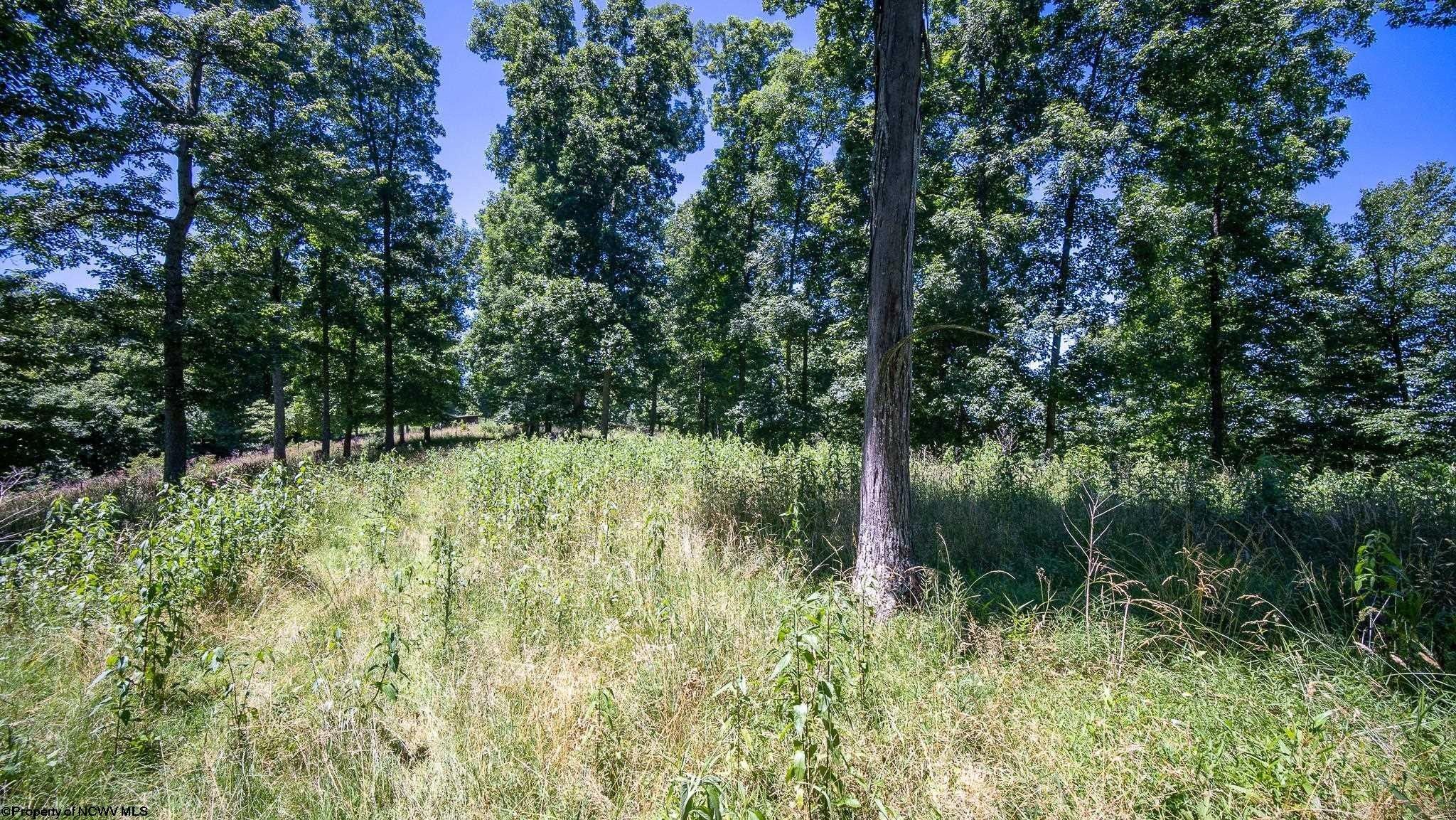 36.54 acres in Braxton County, West Virginia