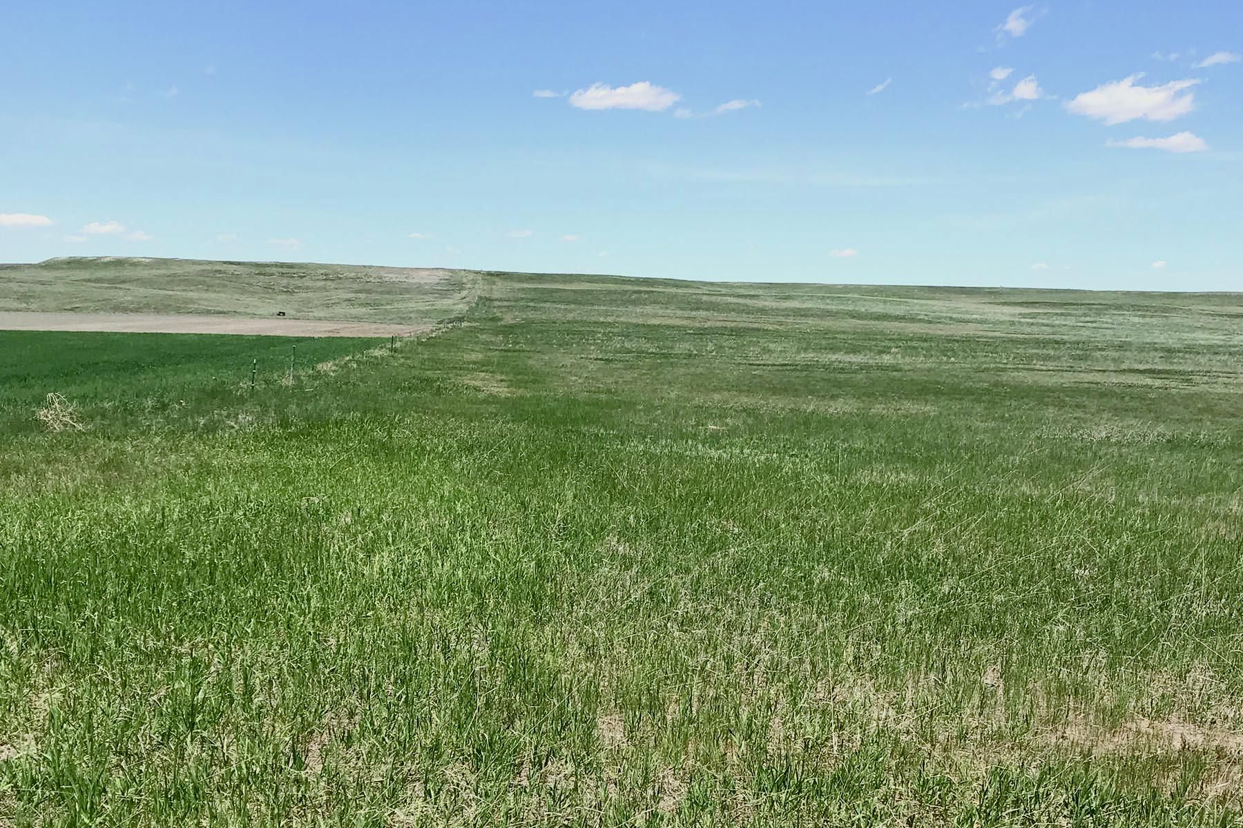 638 acres in Kimball County, Nebraska