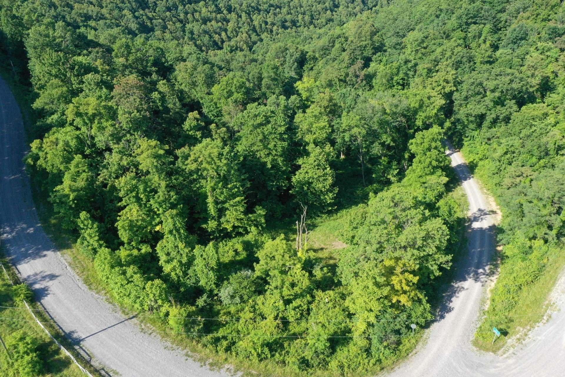 8.08 acres in Braxton County, West Virginia