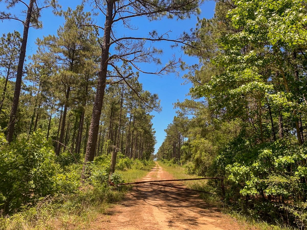 327 acres in Jasper County, Texas