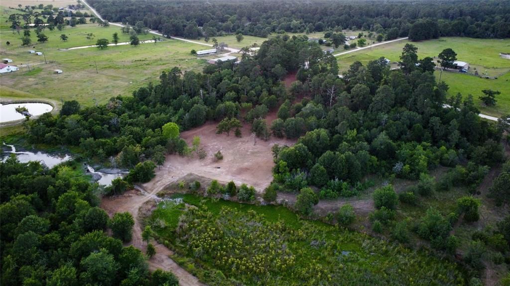 12 acres in Grimes County, Texas