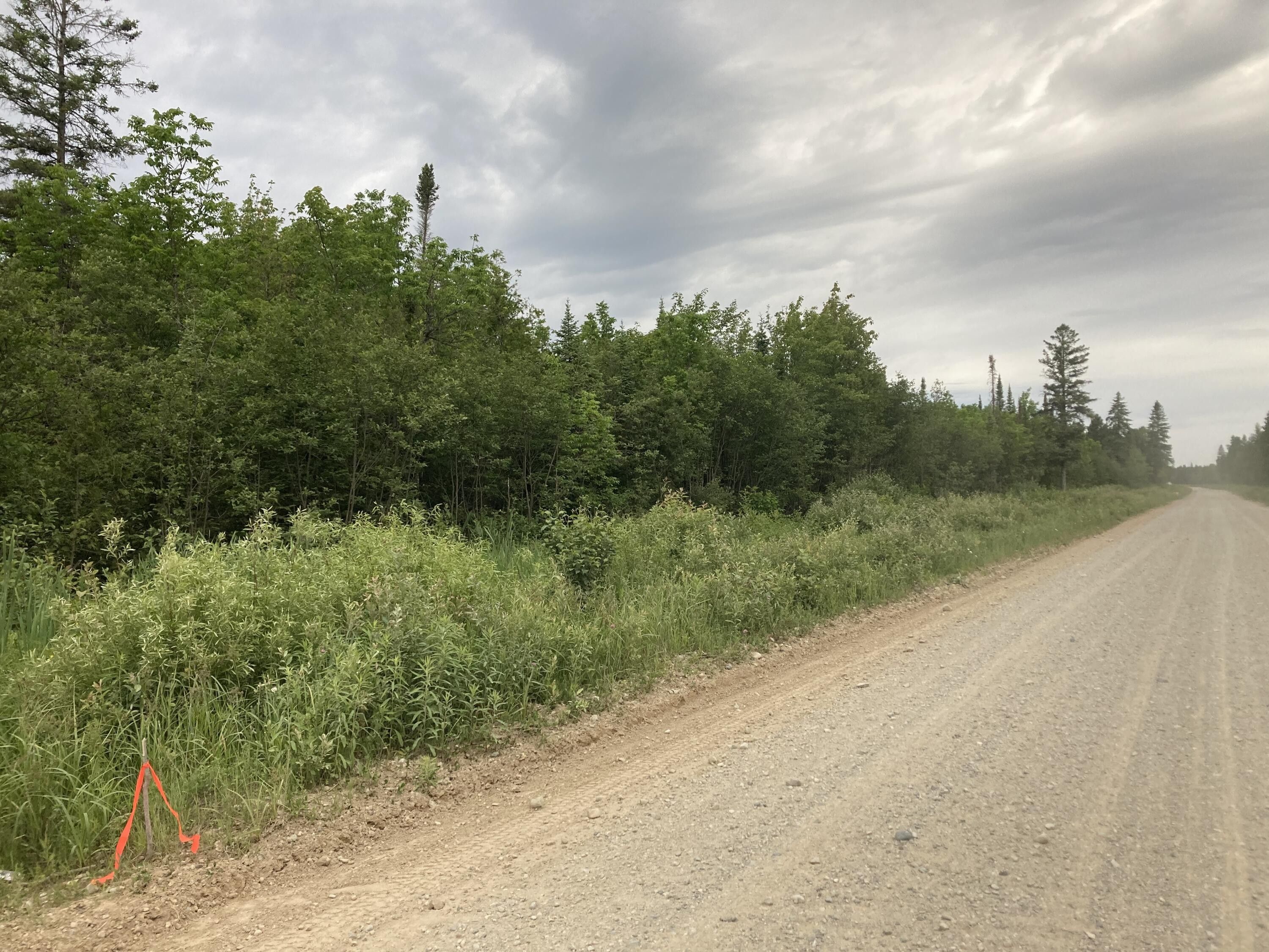 40 acres in Luce County, Michigan