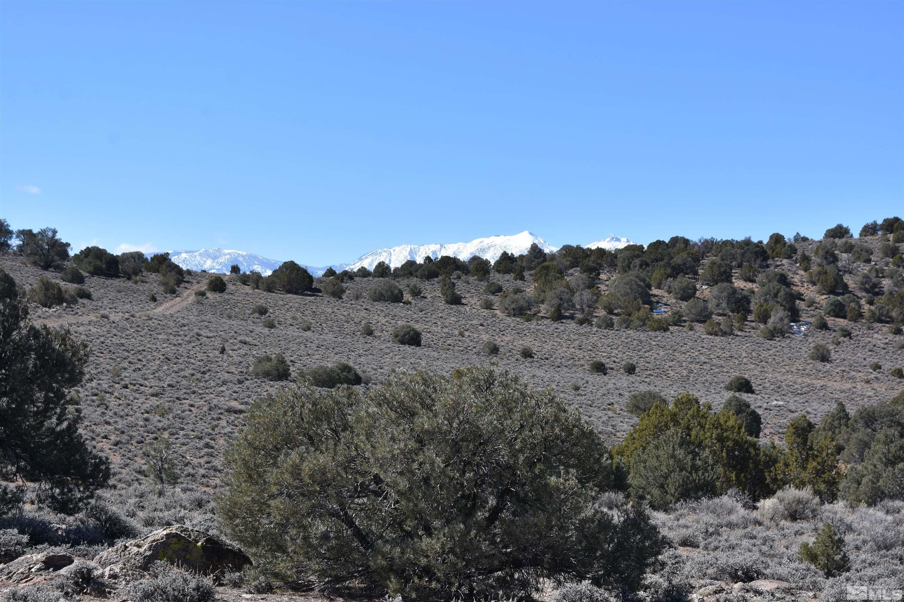 40 acres in Douglas County, Nevada