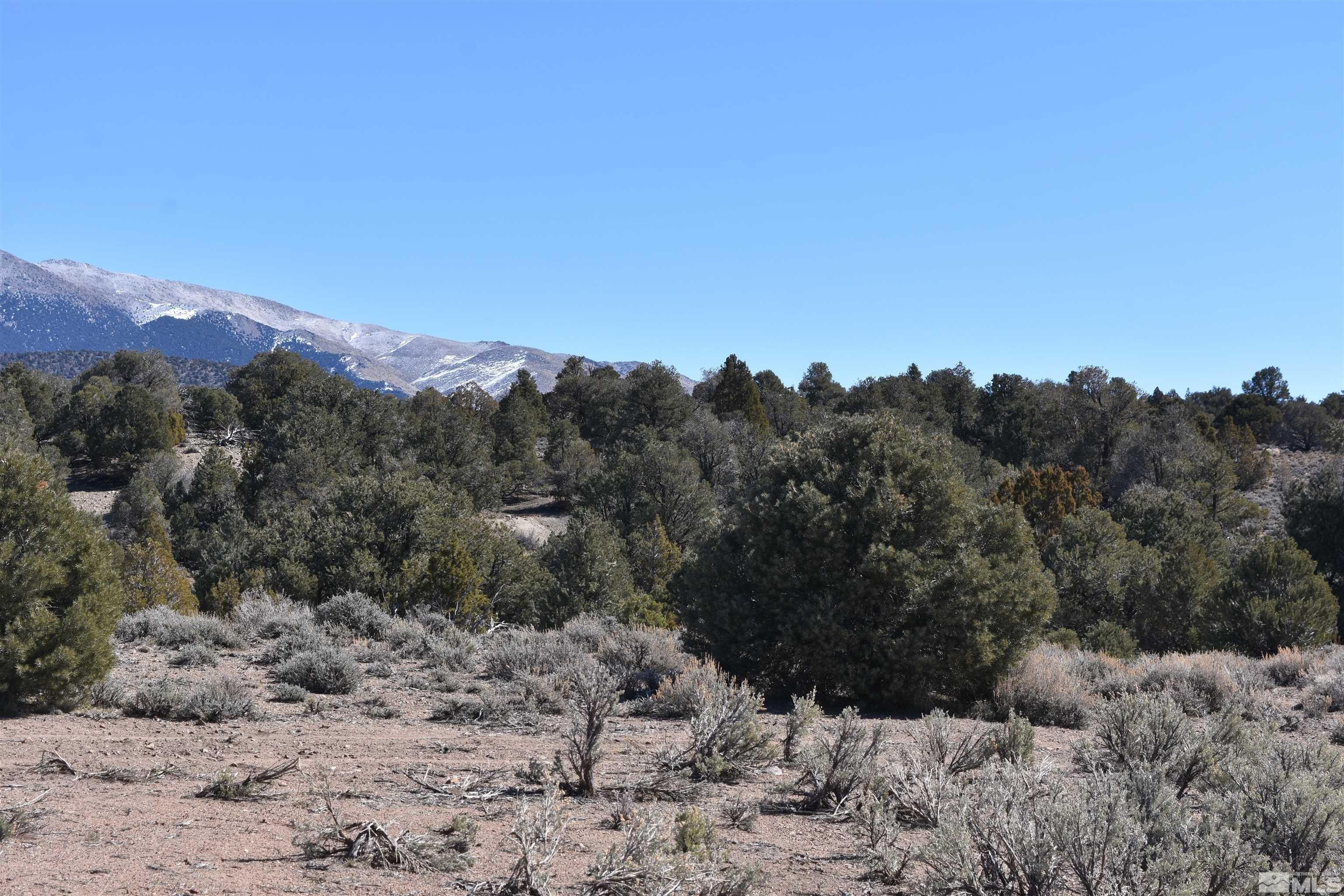 40 acres in Douglas County, Nevada