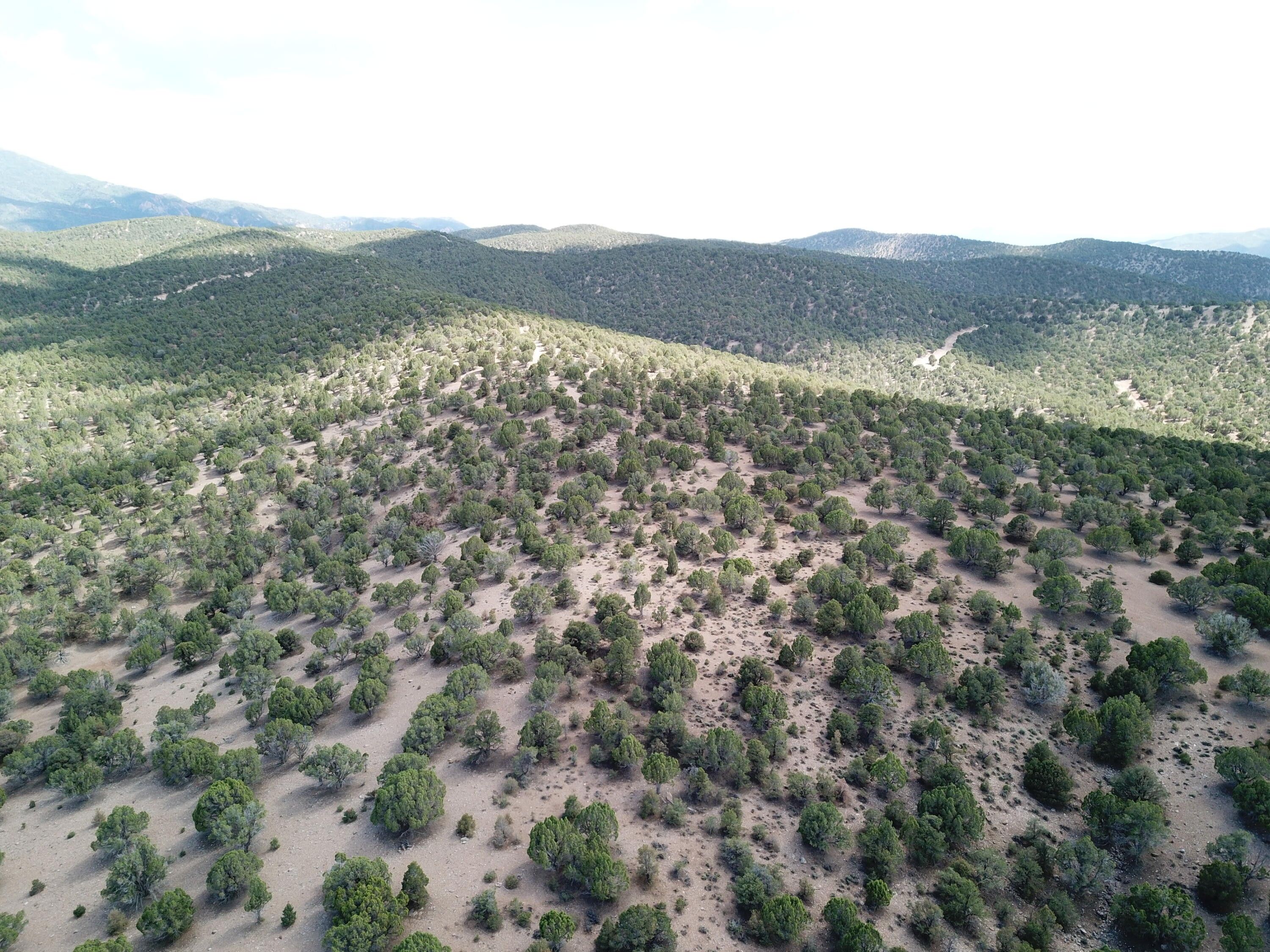20.15 acres in Iron County, Utah