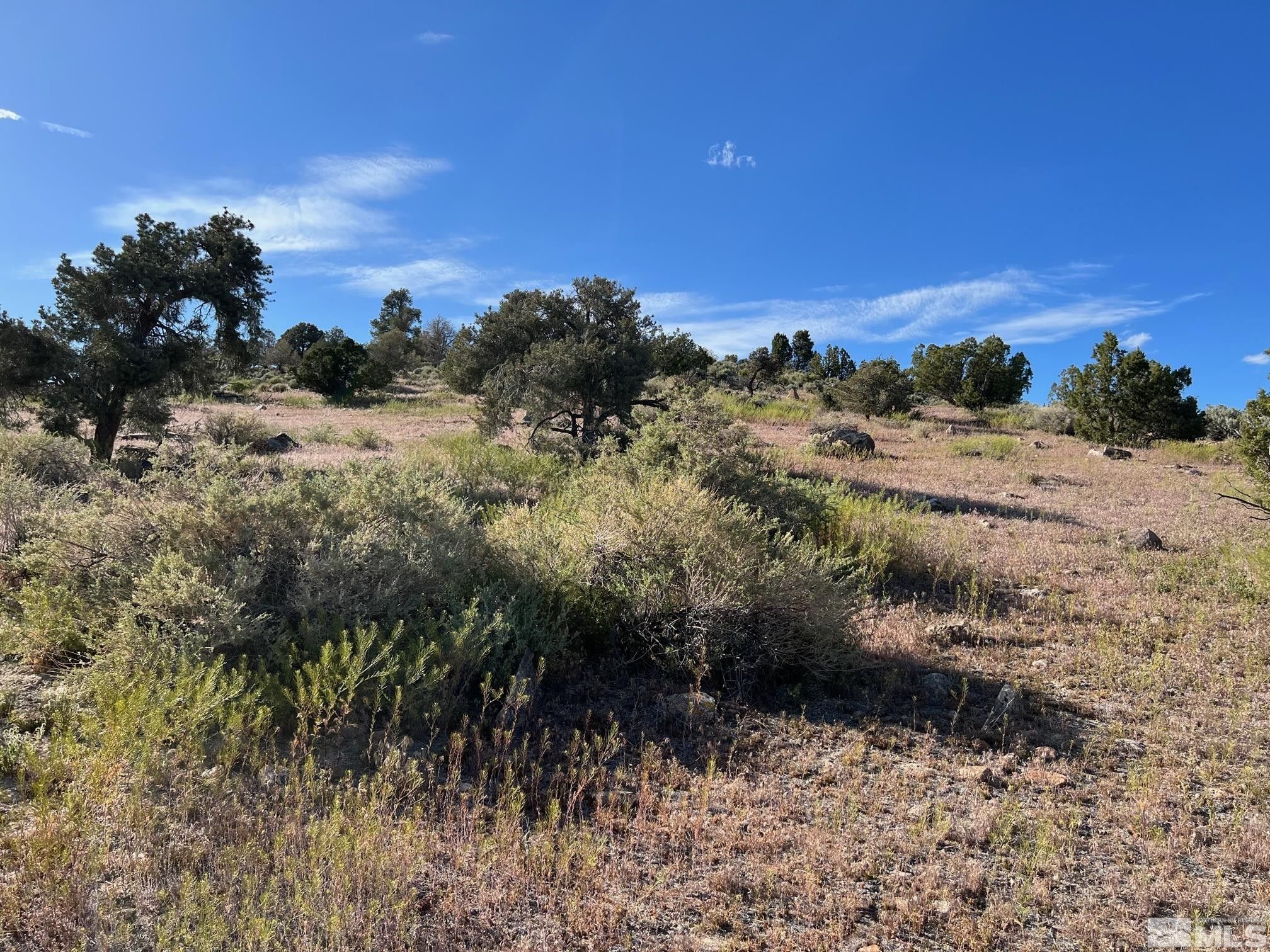 40 acres in Douglas County, Nevada