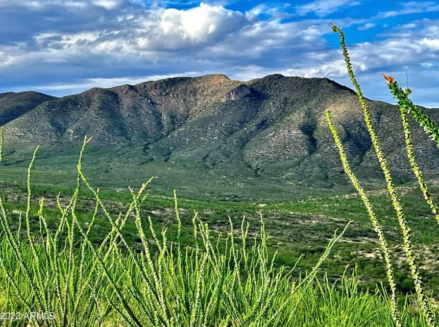 173 acres in Cochise County, Arizona