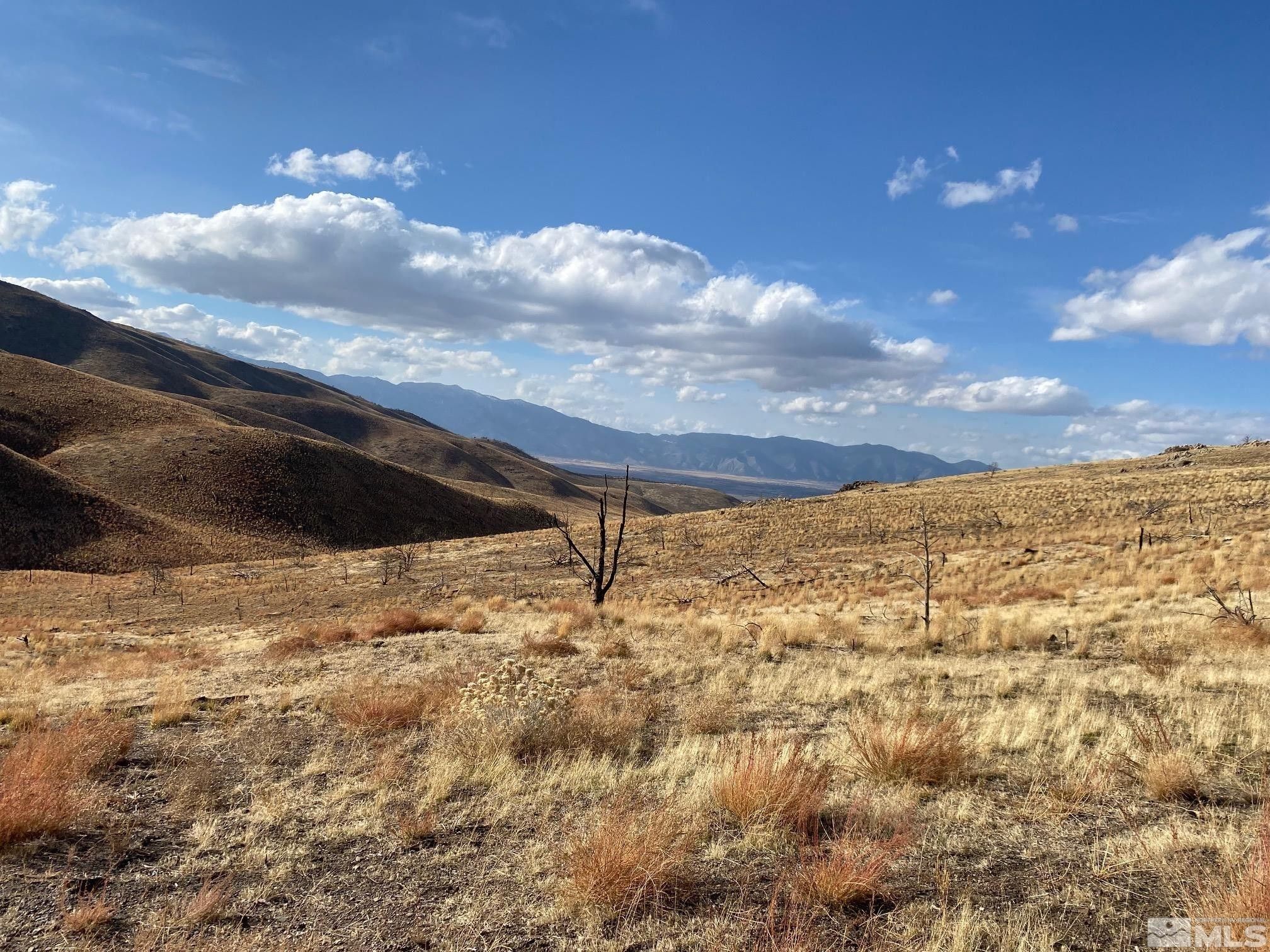 80 acres in Douglas County, Nevada