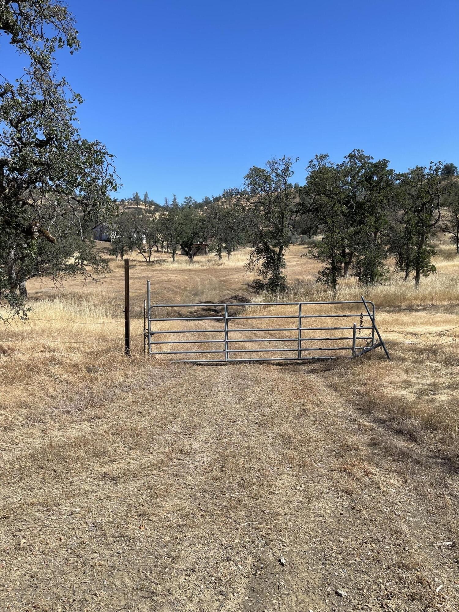 40 acres in Shasta County, California